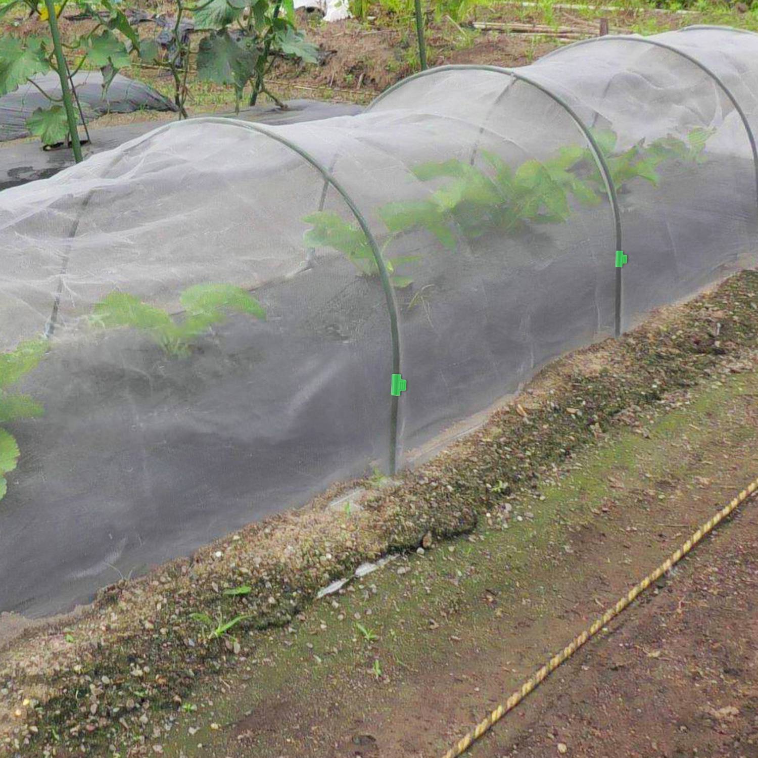 Pflanztunnel Gewächshausreifen Folientunnel Bögen Pflanzenabdeckungs Stützrahmen Folientunnel Foliengewächshaus Pflanztunnel Bögen Gewächshaus T