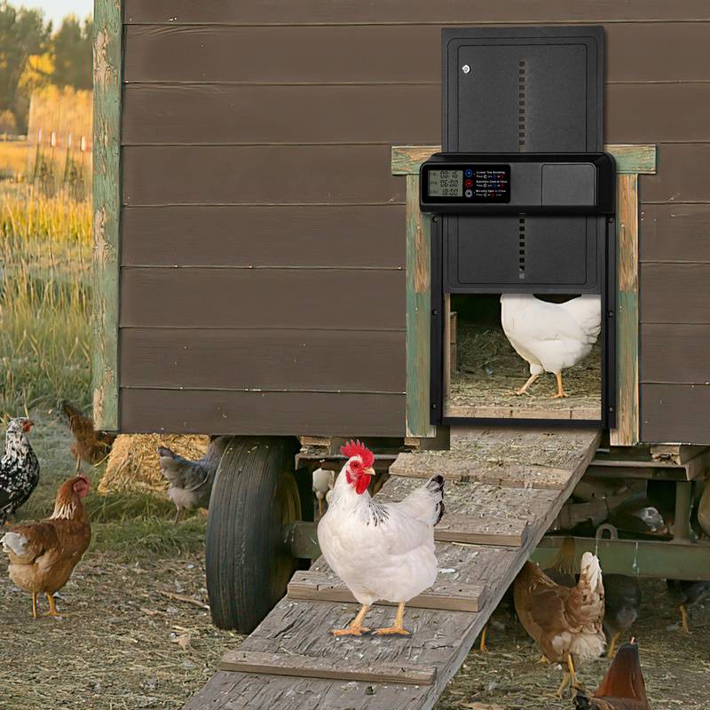 Aluminum Automatische Hühnerklappe Solar, Hühnerklappe Automatisch mit LED Display, Timer, Fernbedienung, Elektrische Hühnerklappe Hühnerstalltür