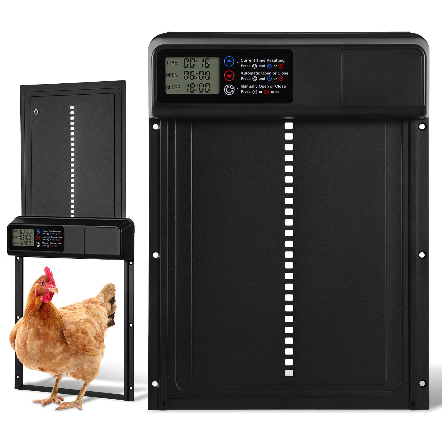 Automatische Hühnerstallür mit vertikalem Schiebepanel, dargestellt geschlossen und geöffnet mit einer Henne, die hindurchgeht, mit einem Timer-Bedienfeld.