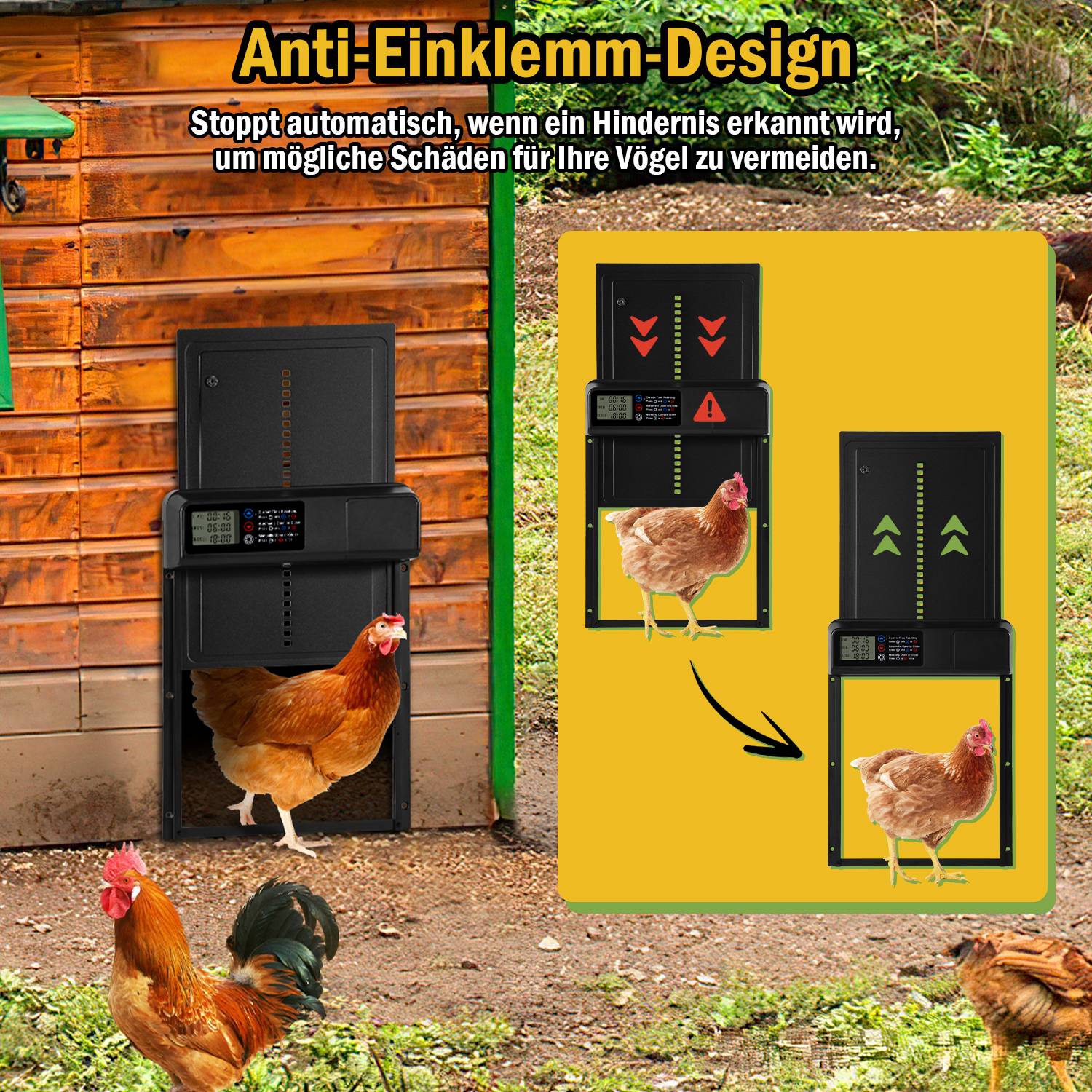 Automatische Hühnerklappe Solar mit Zeit/Handmodus, Aluminiumlegierung automatische Hühnerklappe, elektrische Hühnertür kältetauglich | LCD | IPX