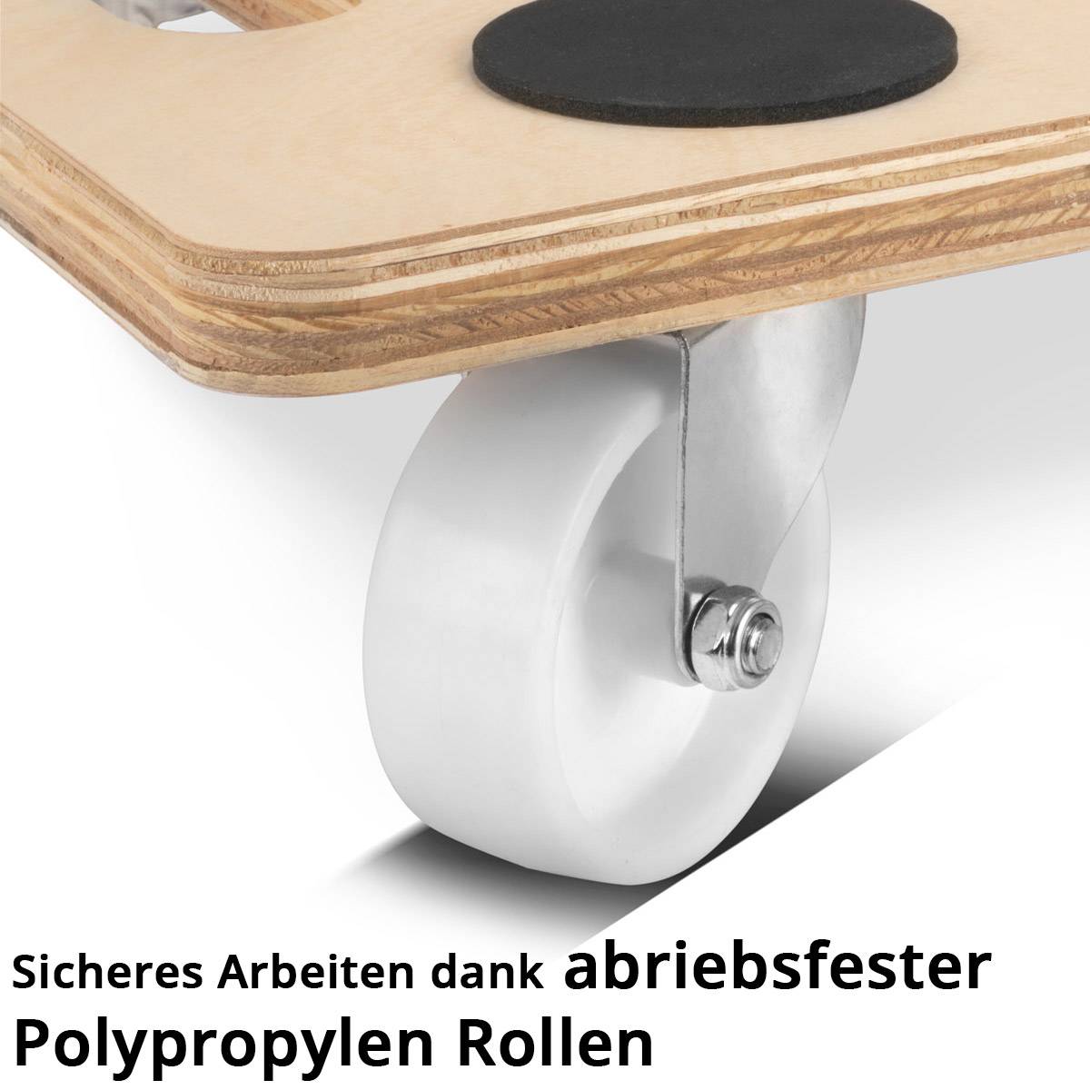 STAHLWERK Rollwagen TR-250 ST mit Handgriff 250 kg Tragkraft Plattformwagen