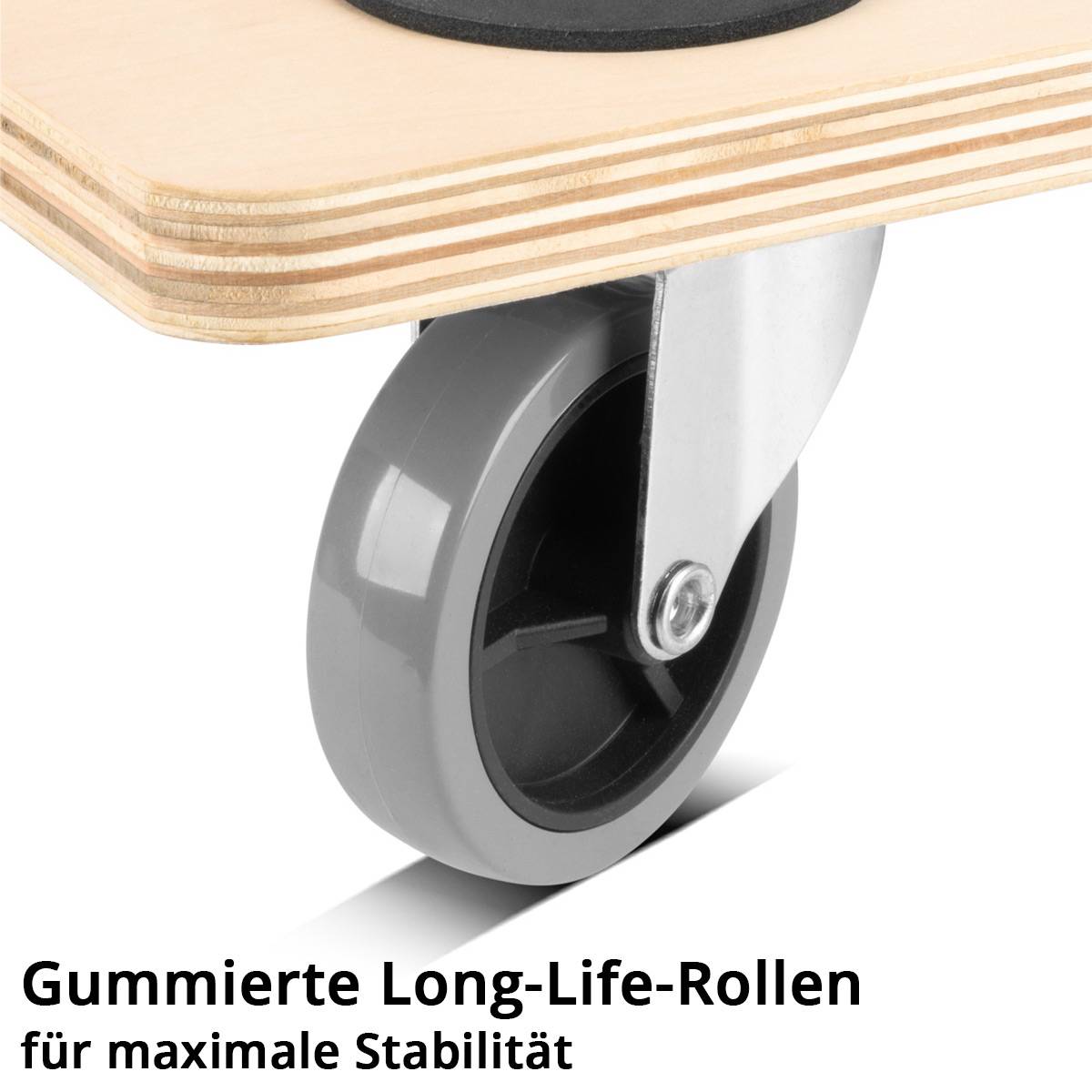 STAHLWERK Rollwagen TRS-250 ST mit 250 kg Tragkraft 58 x 29 cm Plattformwagen