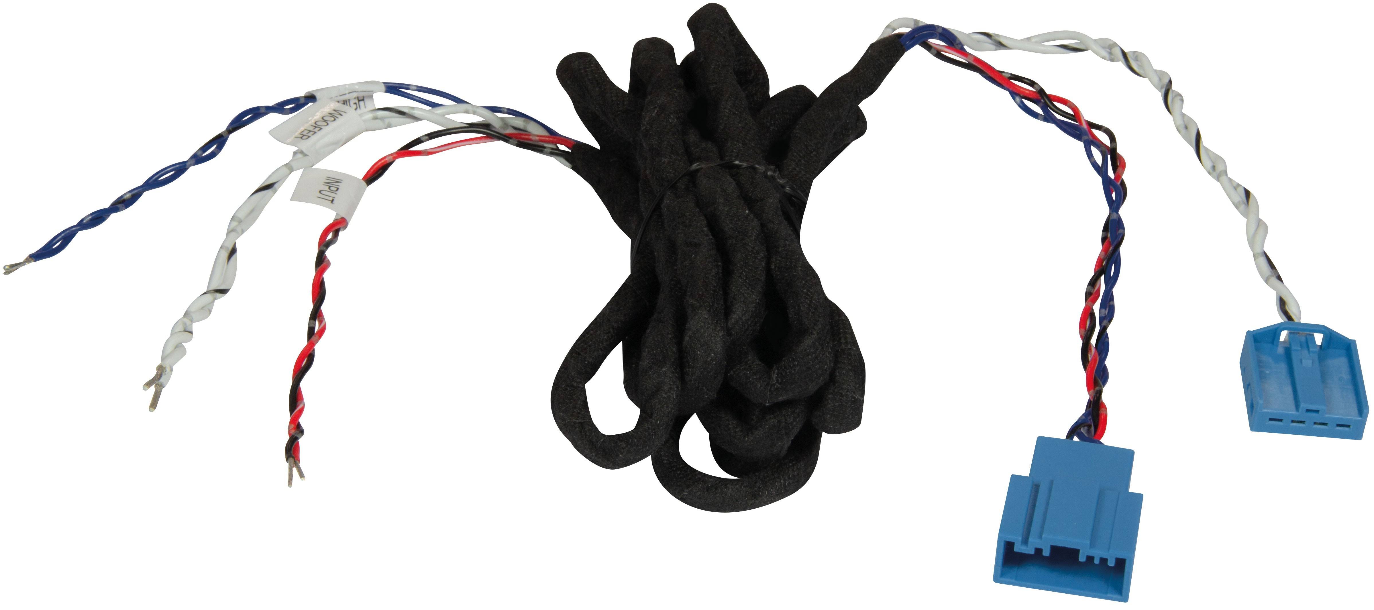 ESX DIRECTION BMW Adapter DW5BMW