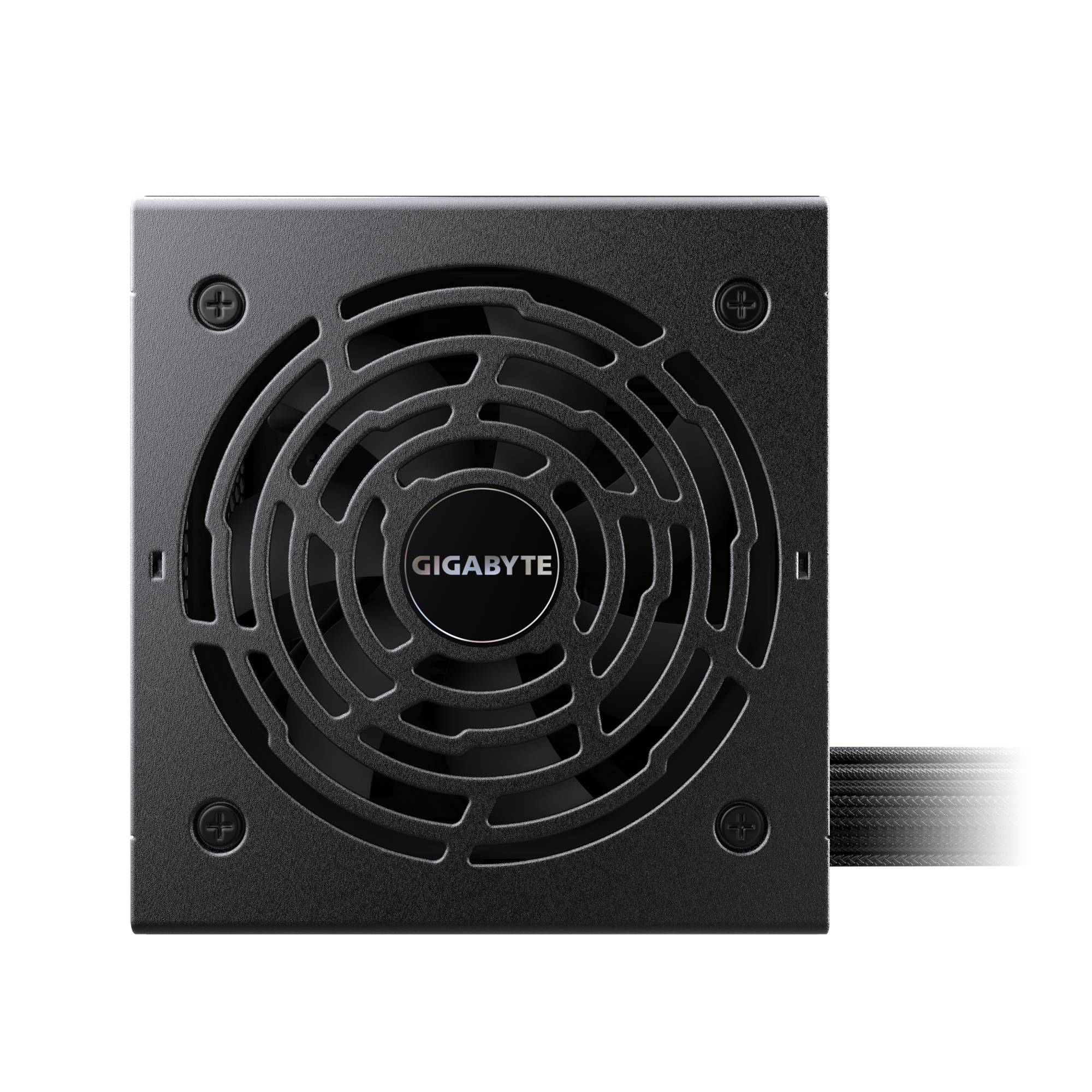 Gigabyte P750BS - Netzteil (intern) - ATX12V