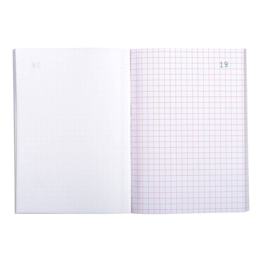 Exacompta 10x Durchschreibebuch A6 kariert 50 Blatt, doppelte Ausführung 3240E