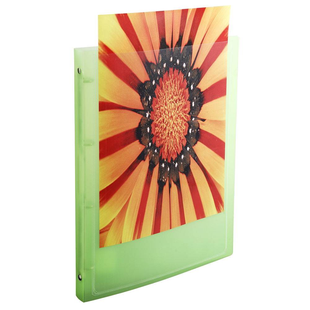 Exacompta 20x Ringhefter aus PP 500, 4Ring Rücken 20mm, A4 - sortiert - 51969E