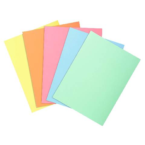 Exacompta 10x 100er Packung Aktendeckel SUPER 60 22x31cm - sortiert - 850100E