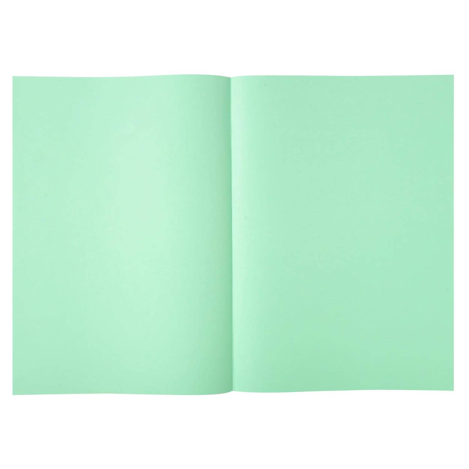 Exacompta 5x 250er Packung SUPER 60 Sortiert - Hellgrün - 850004E