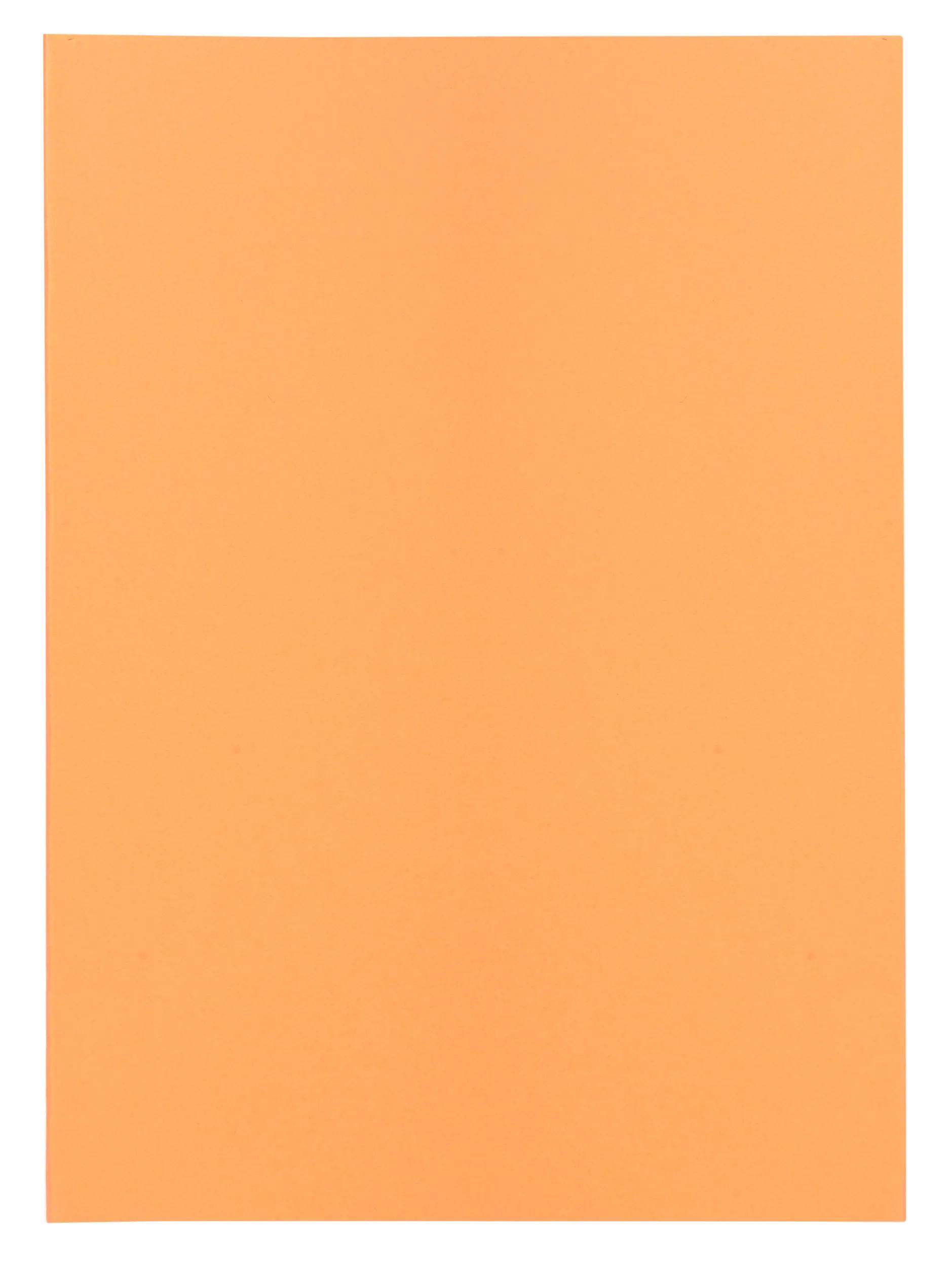 Exacompta 5x 250er Packung SUPER 60 Sortiert - Sand - 850002E