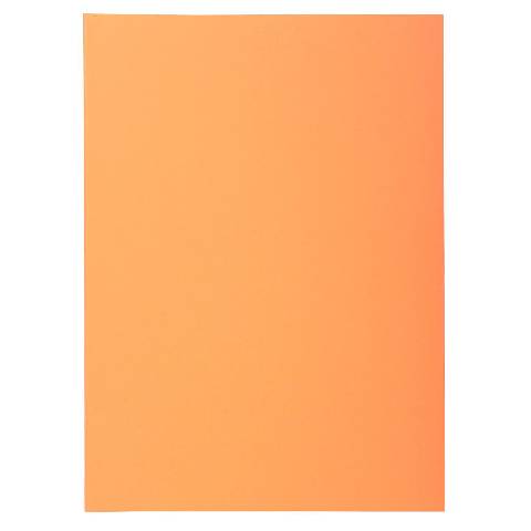 Exacompta 5x 250er Packung SUPER 60 Sortiert - Sand - 850002E