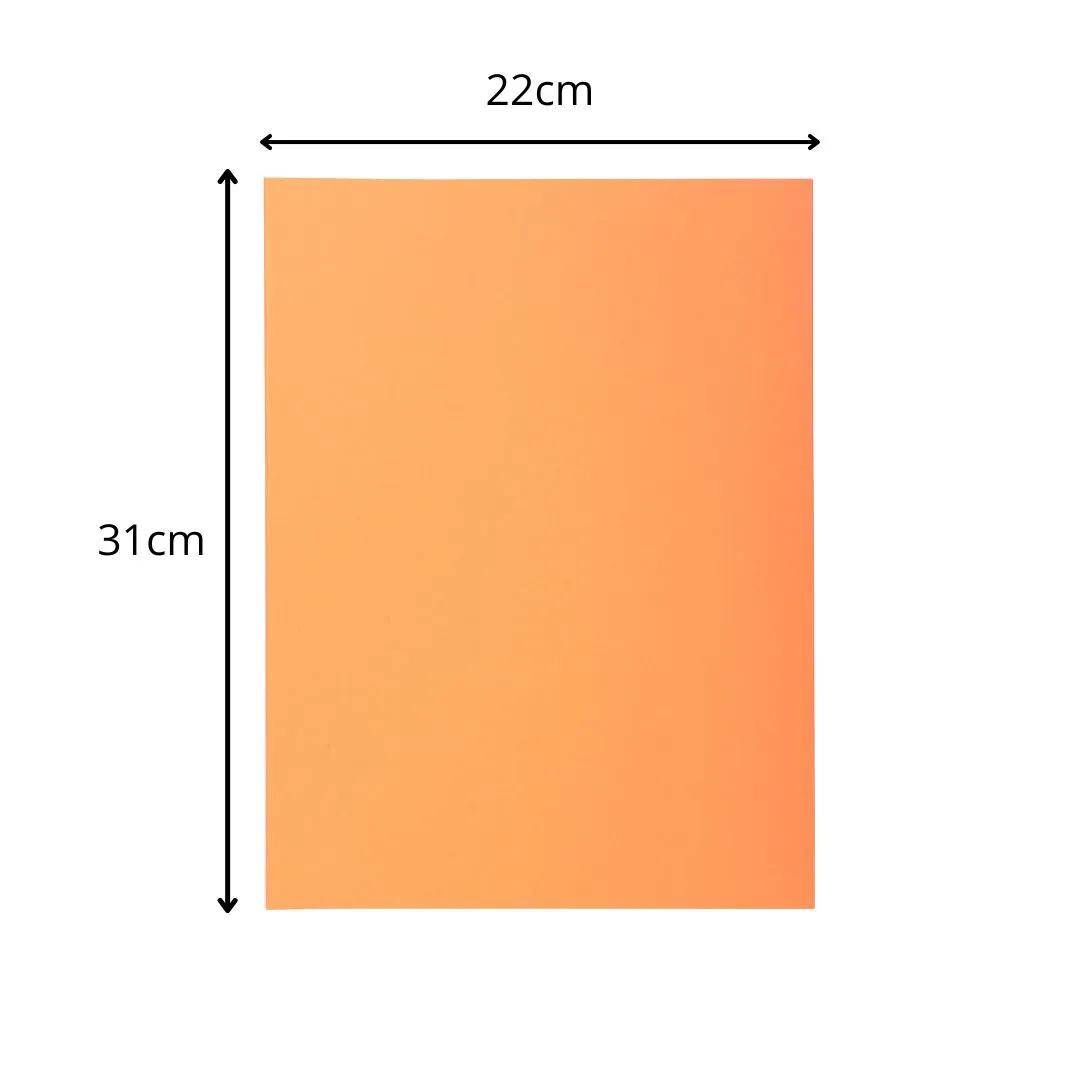 Exacompta 5x 250er Packung SUPER 60 Sortiert - Sand - 850002E