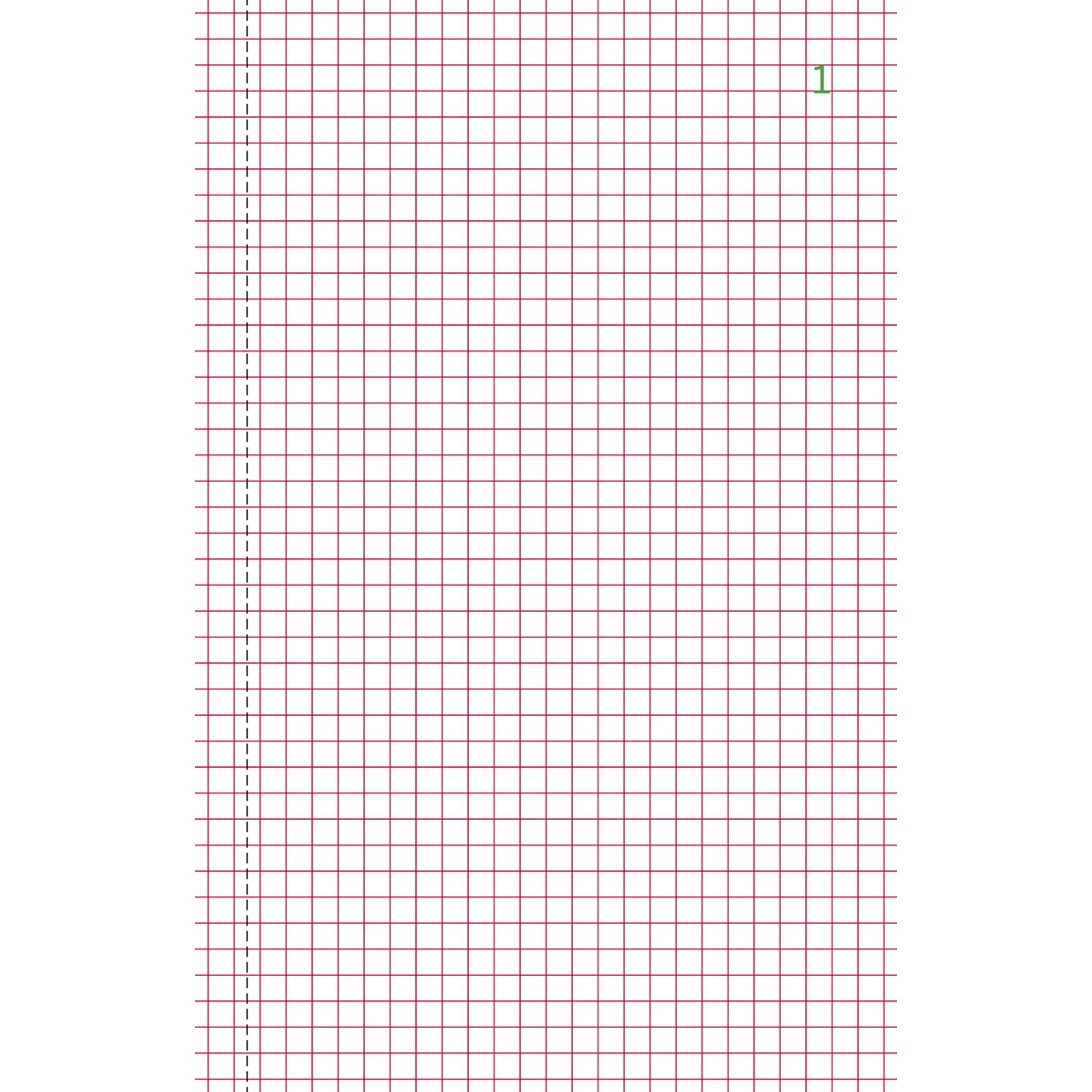 Exacompta 10x Duplicate Book 21x13.5cm Squared 50 Pgs - x 10 - - 3248E