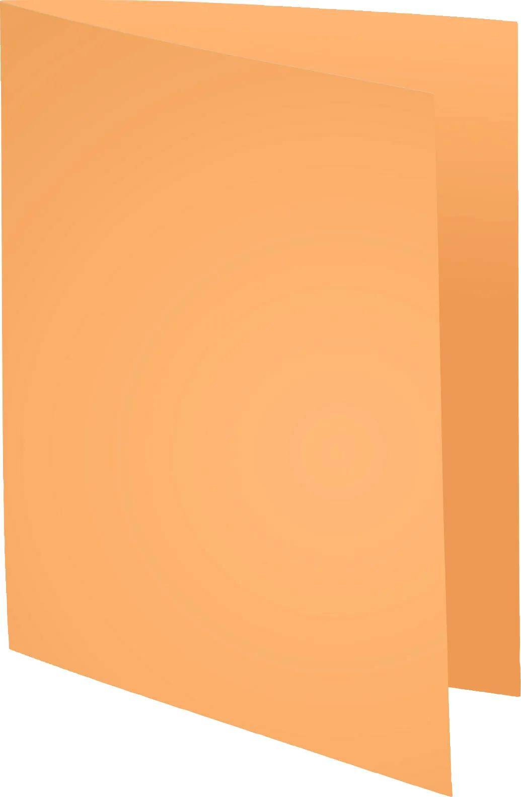 Exacompta 10x 10er Pack Aktendeckel SUPER 210 24x32cm - sortiert - 330100E