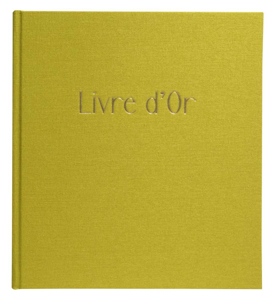 Exacompta Gästebuch 70 Blatt Goldschnitt Pop'N Co - Limettengrün - 47789E