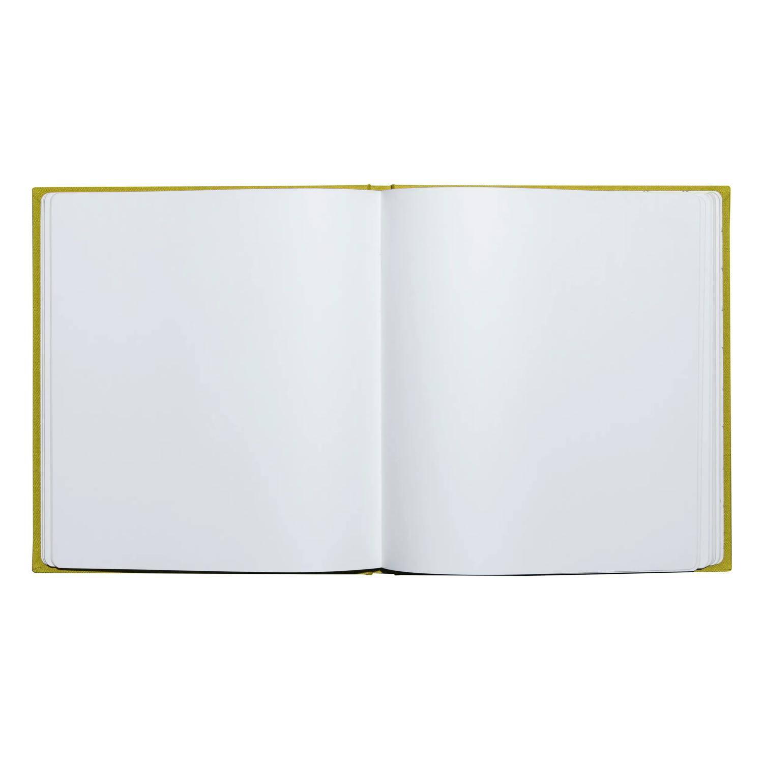 Exacompta Gästebuch 70 Blatt Goldschnitt Pop'N Co - Limettengrün - 47789E