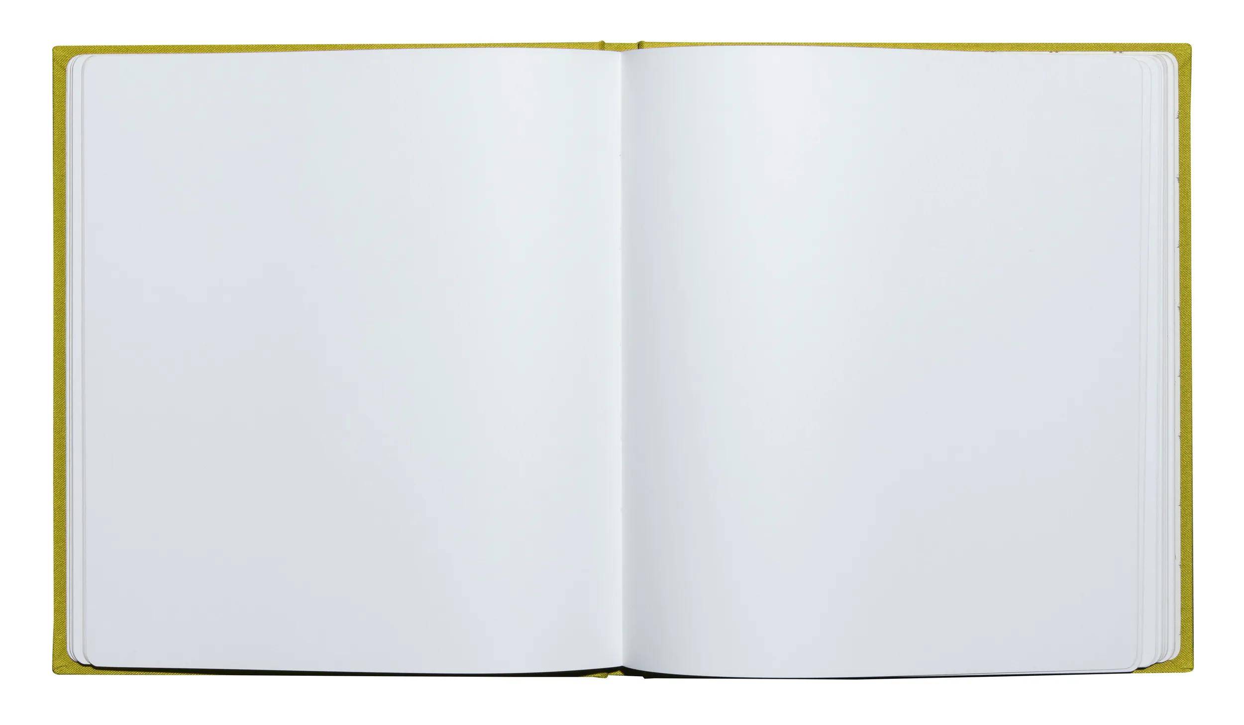 Exacompta Gästebuch 70 Blatt Goldschnitt Pop'N Co - Limettengrün - 47789E