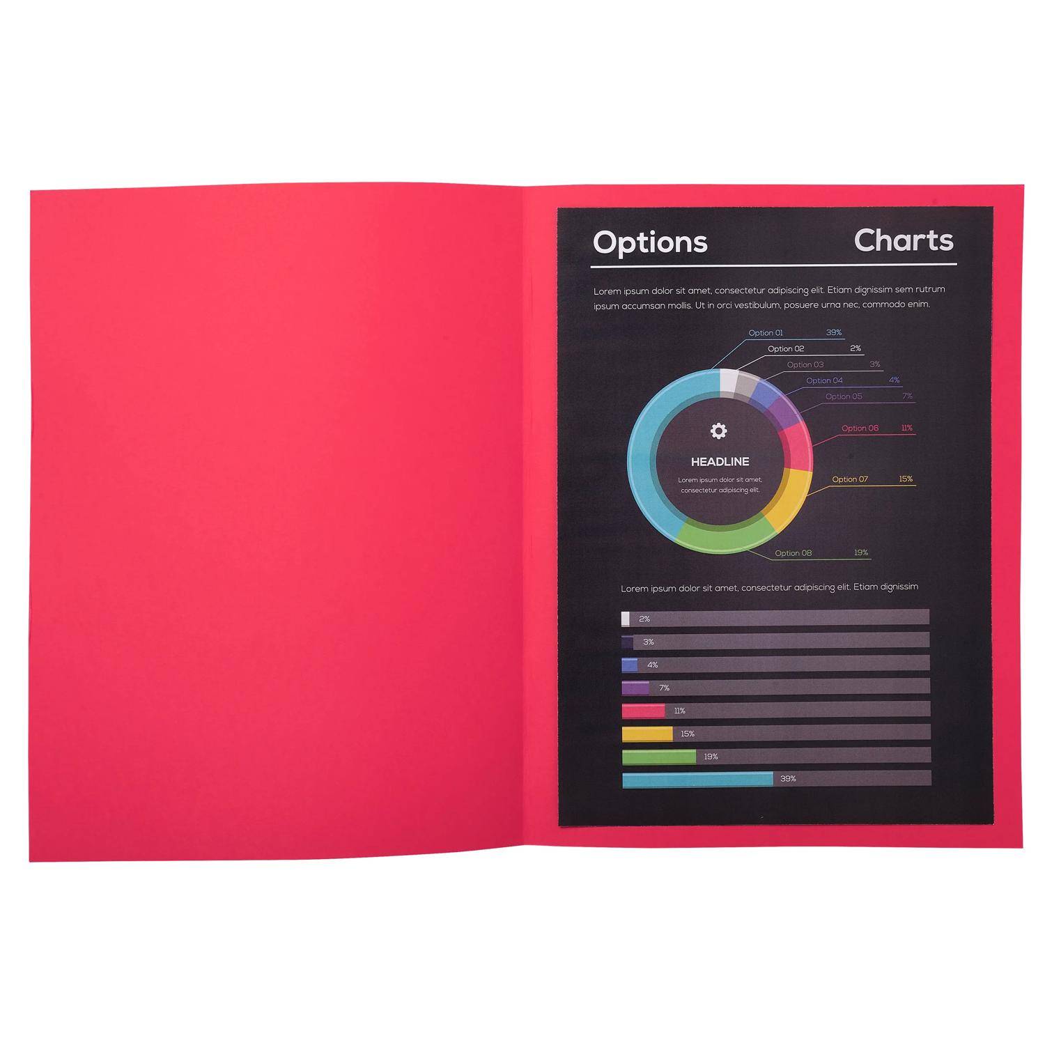 Exacompta 10x 30er Packung ROCKS 80 22x31cm - Himbeerfarben - 807016E