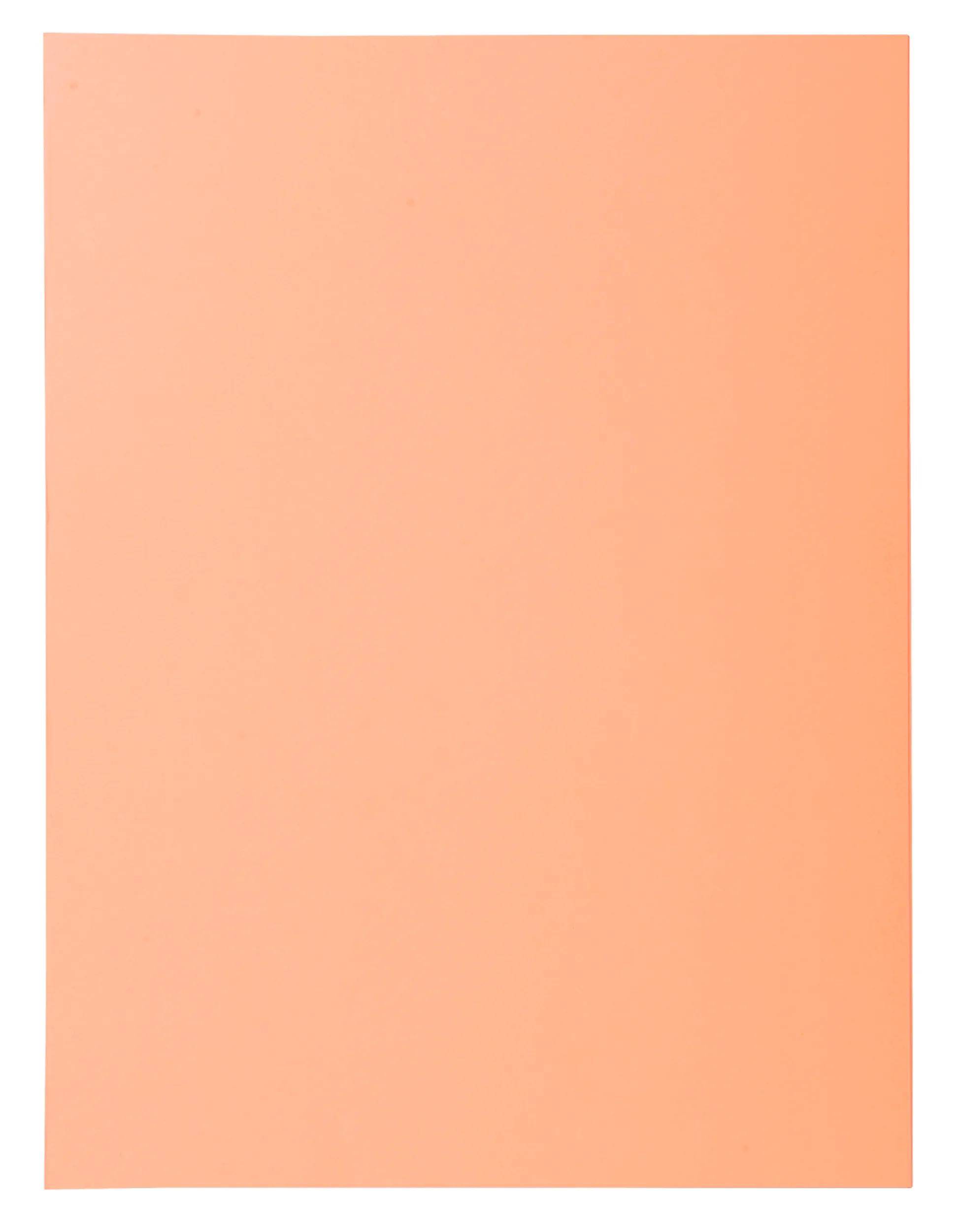 Exacompta 5x 50er Aktenmappe 2 Klappen SUPER 210 24x32cm - sortiert - 332000E