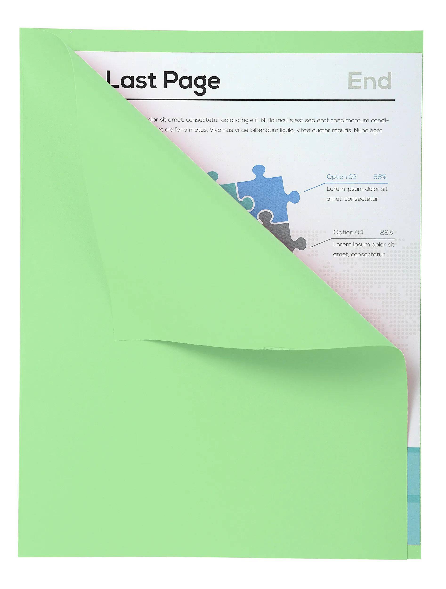 Exacompta 5x 100er Packung FOREVER® 170 mit rotem Rand - Giftgrün - 421004E
