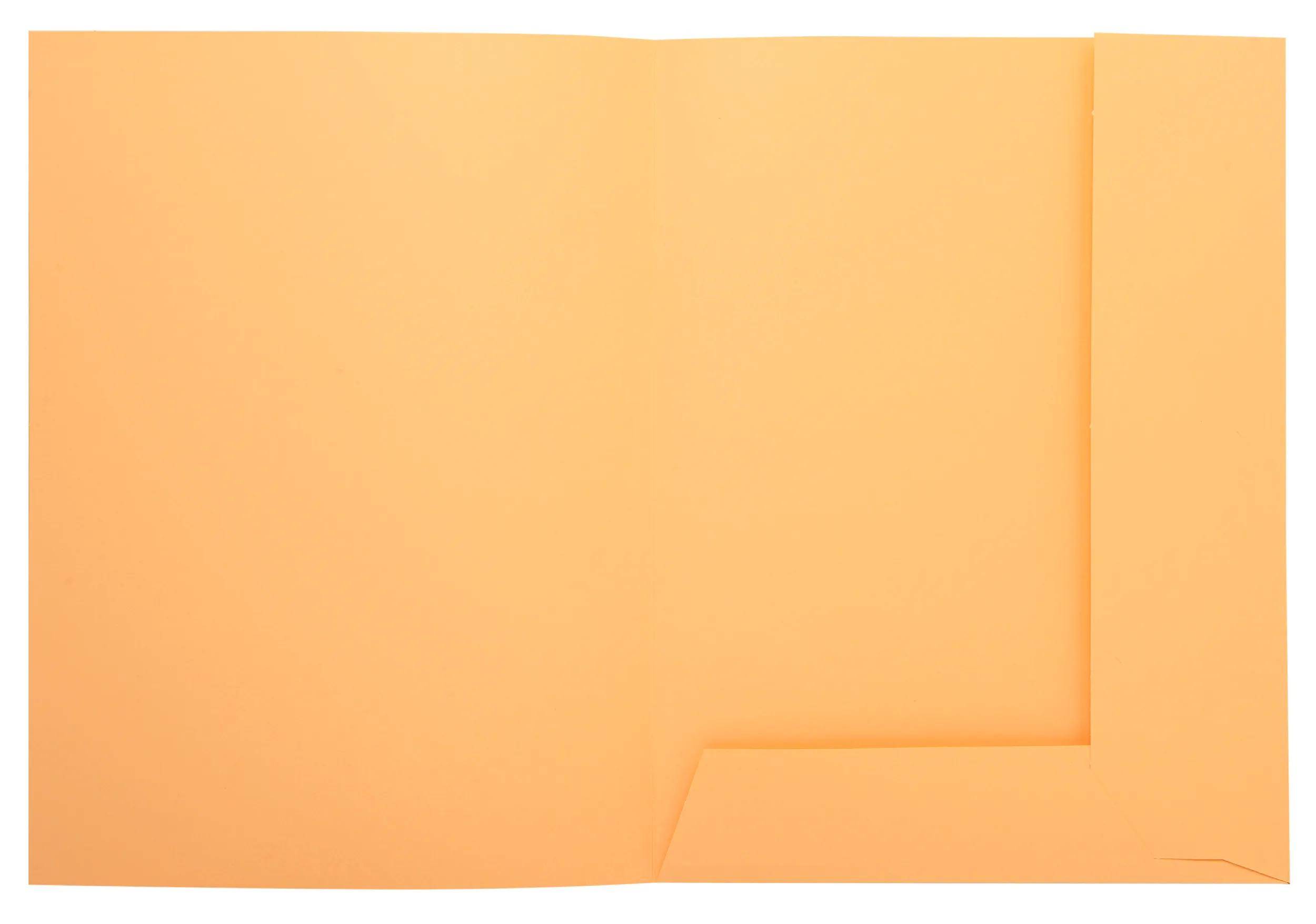 Exacompta 5x 50er Aktenmappe 2 Klappen SUPER 210 24x32cm - Sand - 335002E