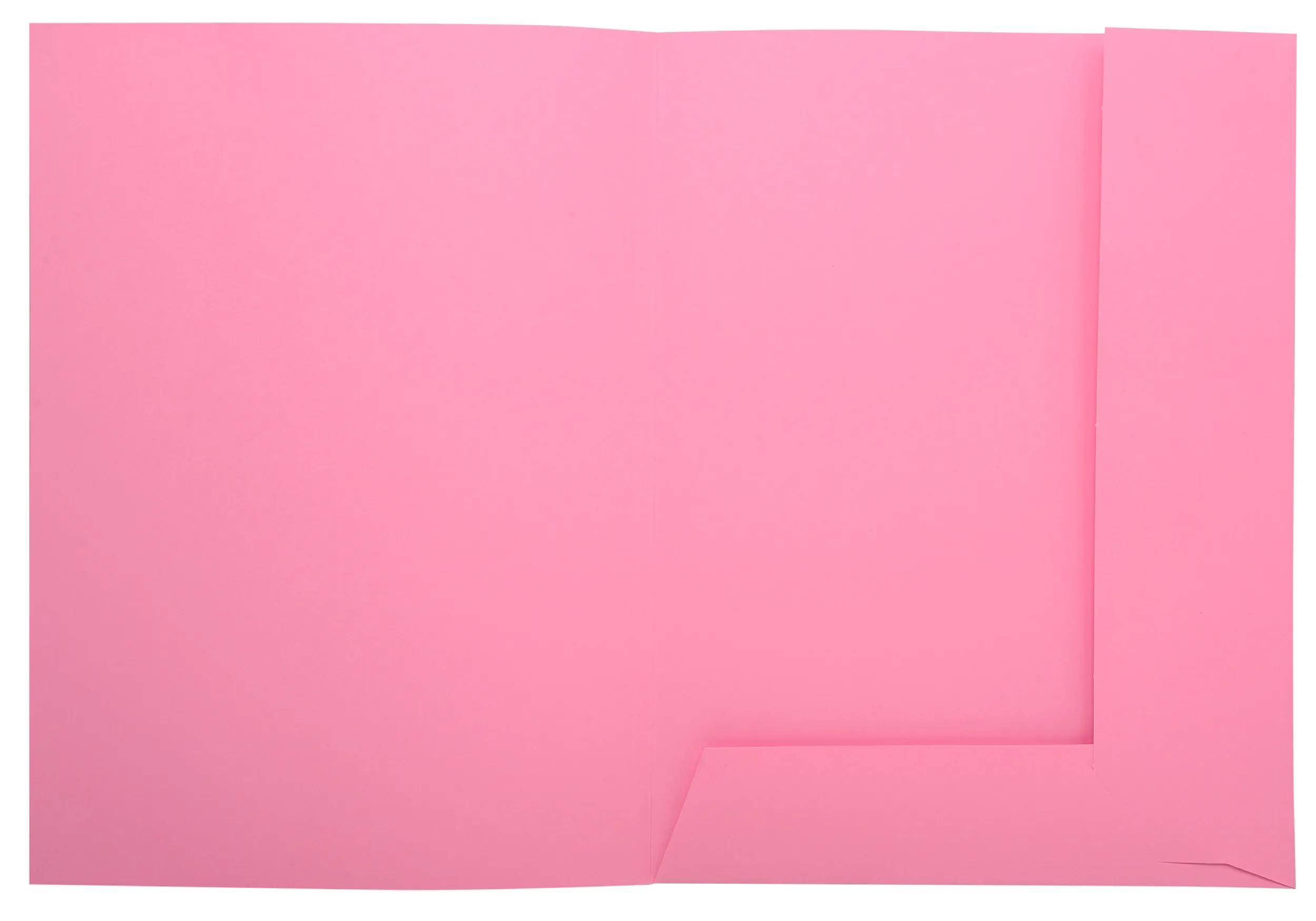 Exacompta 5x 50er Aktenmappe 2 Klappen SUPER 210 24x32cm - Rosa - 335003E