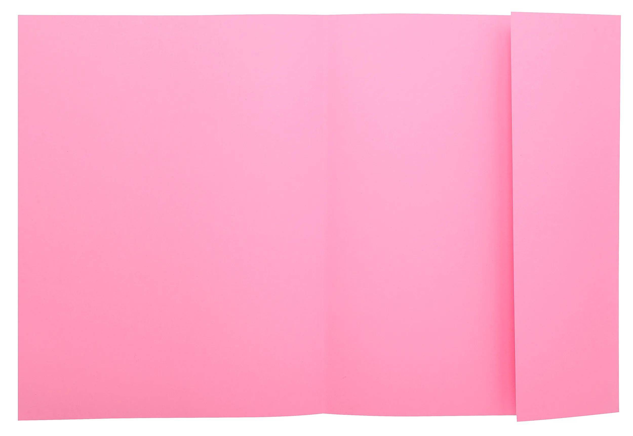 Exacompta 5x 50er Sammelmappen SUPER 210 mit eine Klappe - Rosa - 339003E