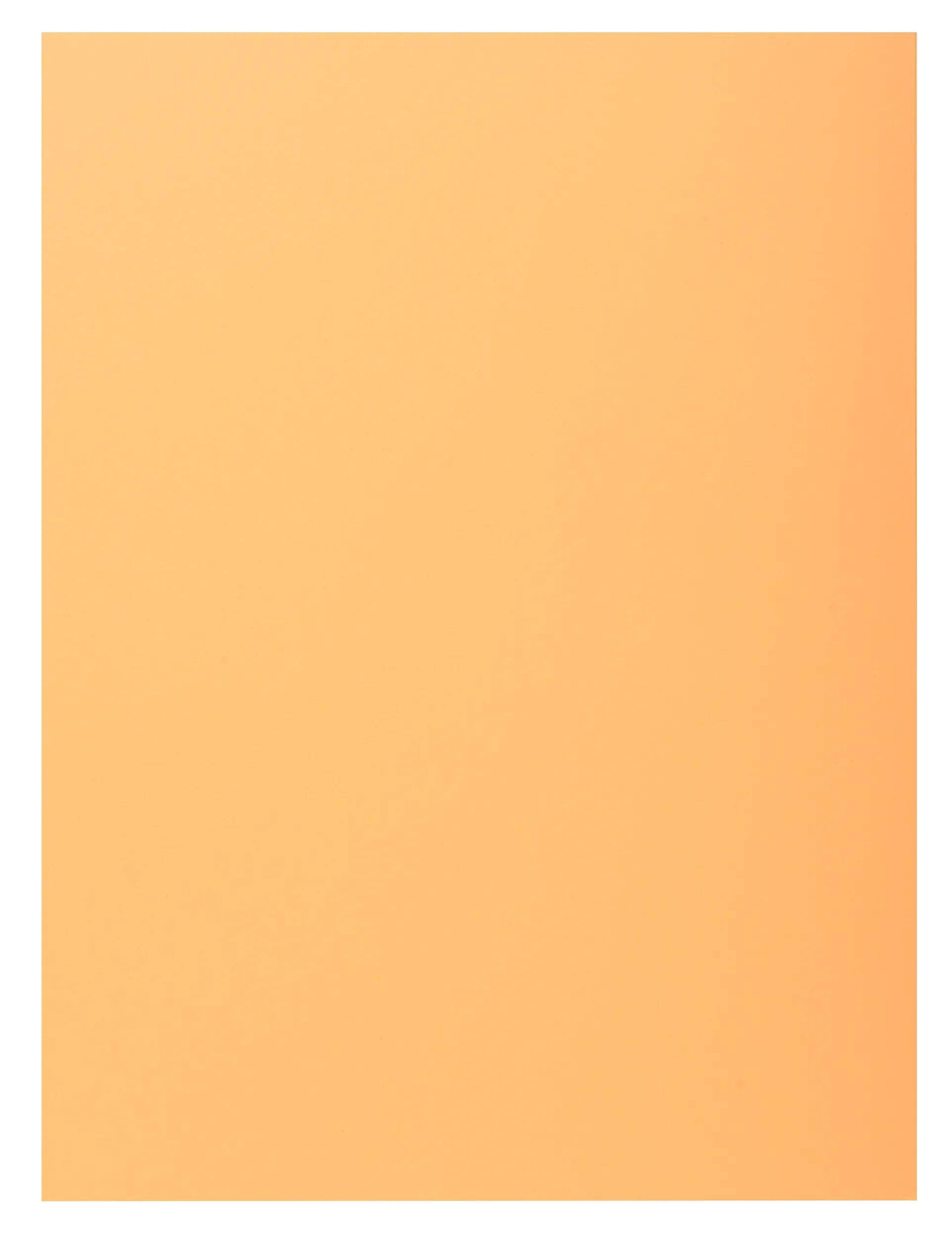 Exacompta 5x 50er Sammelmappen SUPER 210 mit eine Klappe - Sand - 339002E