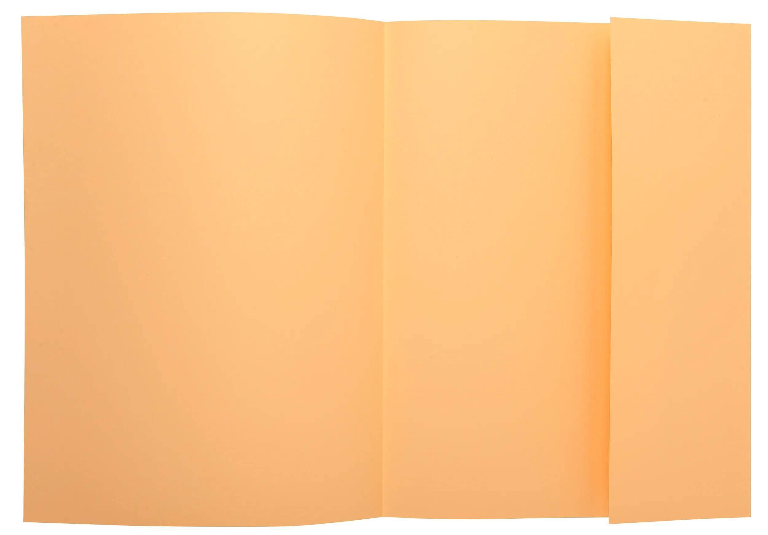 Exacompta 5x 50er Sammelmappen SUPER 210 mit eine Klappe - Sand - 339002E