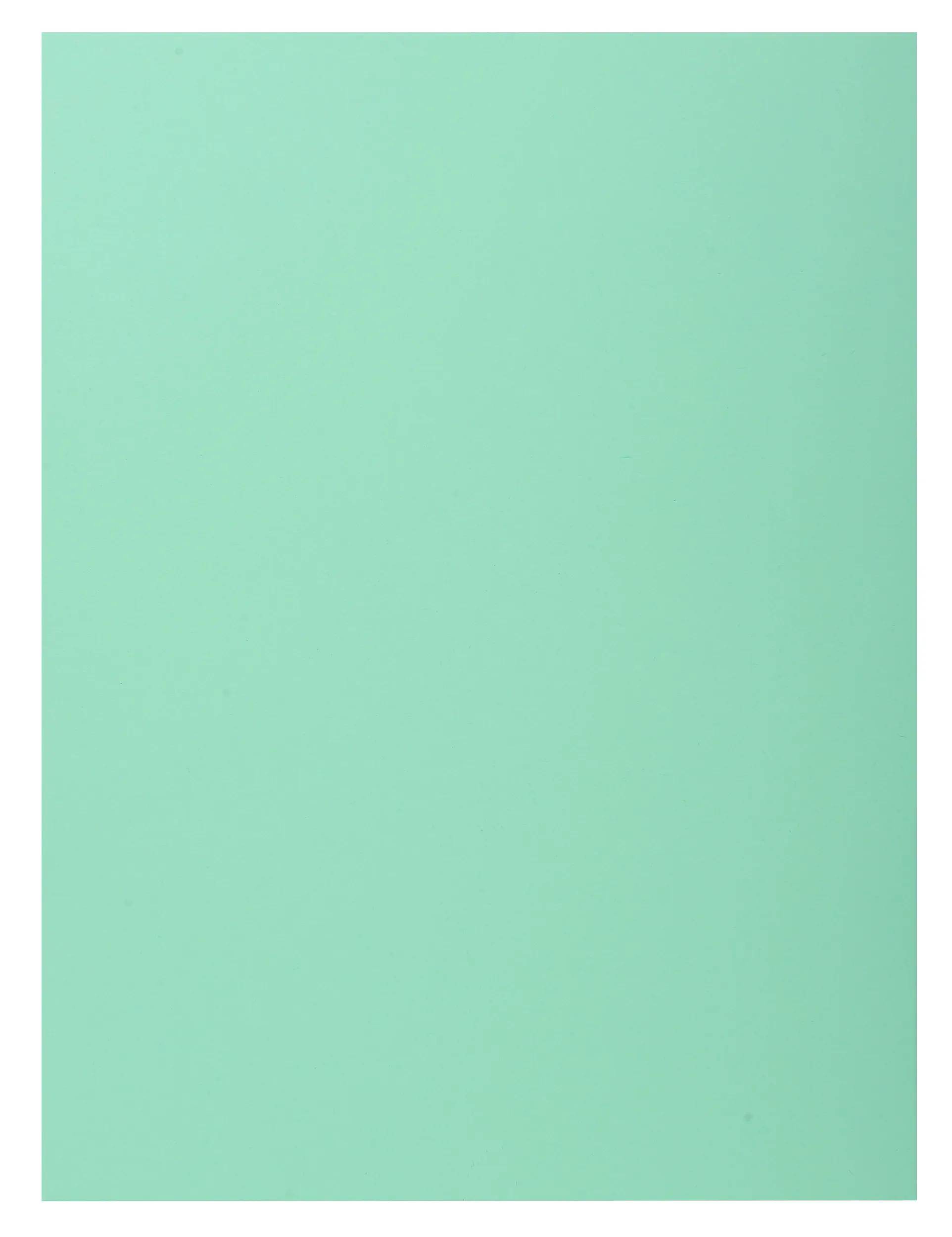 Exacompta 5x 50er Sammelmappen SUPER 210 mit eine Klappe - sortiert - 339000E