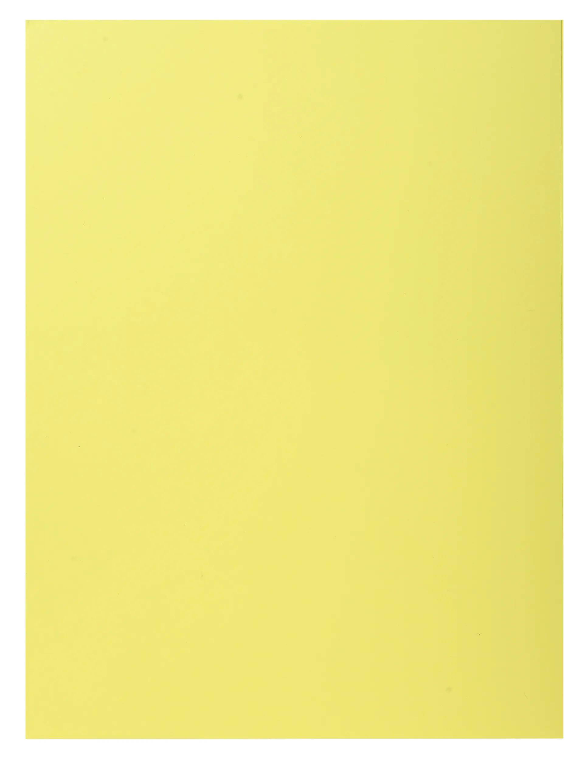 Exacompta 5x 50er Sammelmappen SUPER 210 mit eine Klappe - sortiert - 339000E