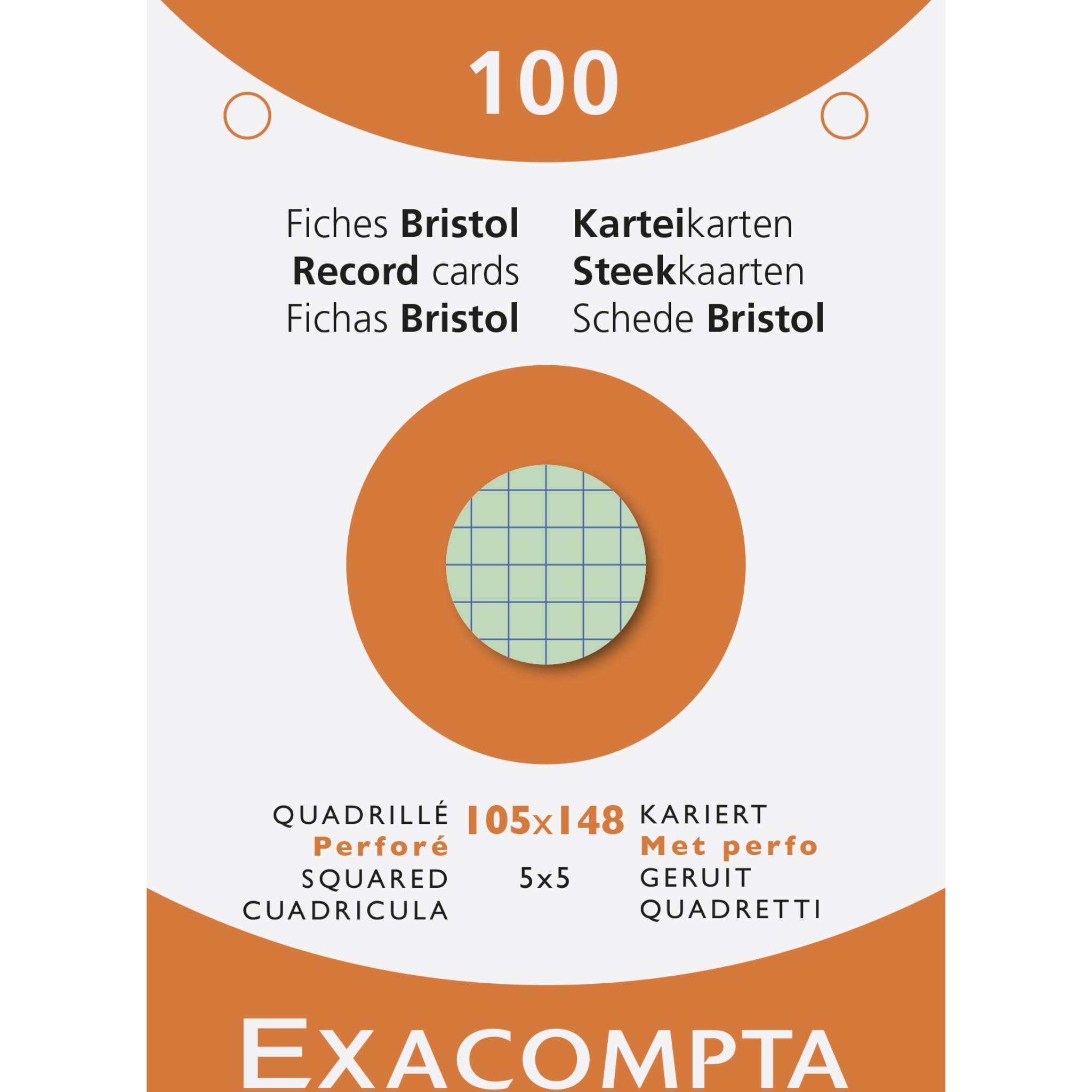 Exacompta 10x 100er Karteikarten kariert gelocht 105x148mm - sortiert - 13659E