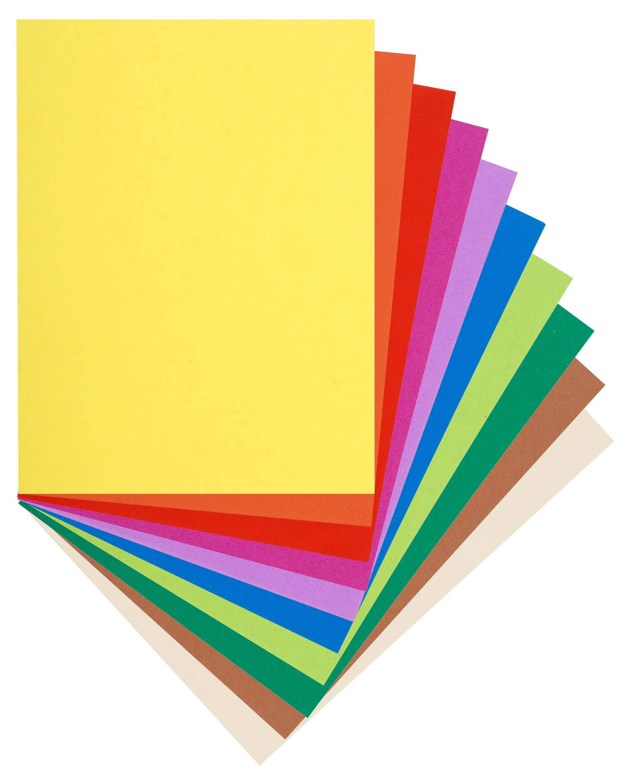 Exacompta 10x 10er Packung Aktendeckel 100% RC 24x32cm - sortiert - 160300E