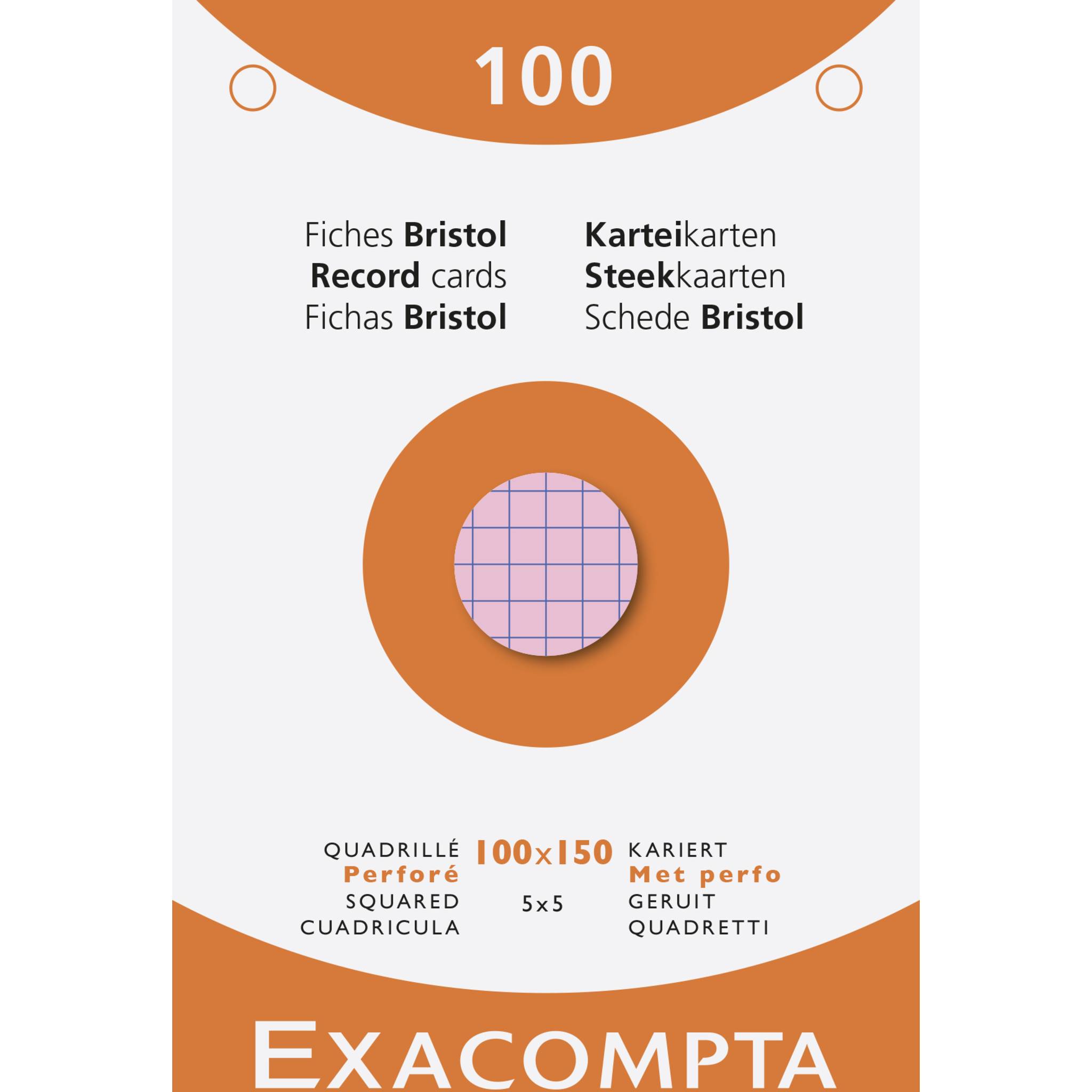 Exacompta 10x Karteikarten 100x150 kariert perforiert 100St sortiert - 13652E