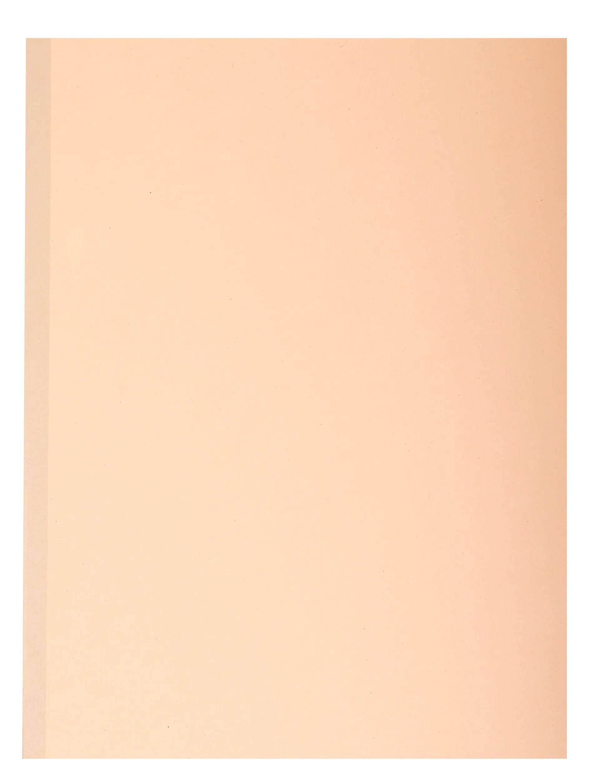 Exacompta 25x 10er Packung Manila 320g Rücken 3cm Sortiert - sortiert - 771000E