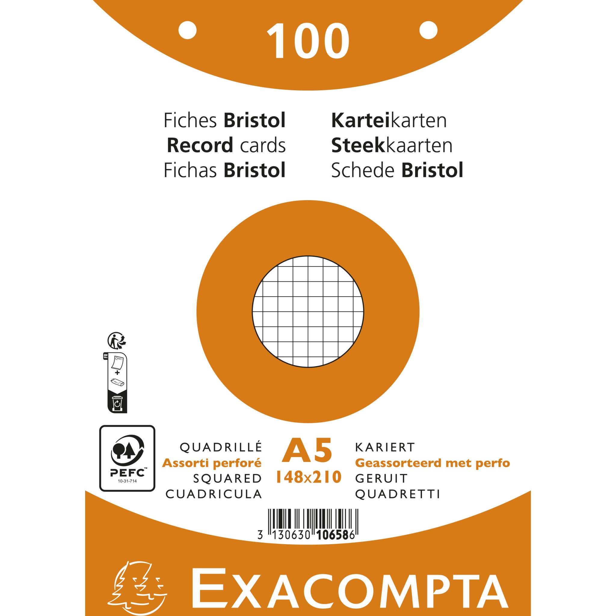 Exacompta 10x 100er Karteikarten - kariert gelocht 148x210mm - sortiert - 10658E