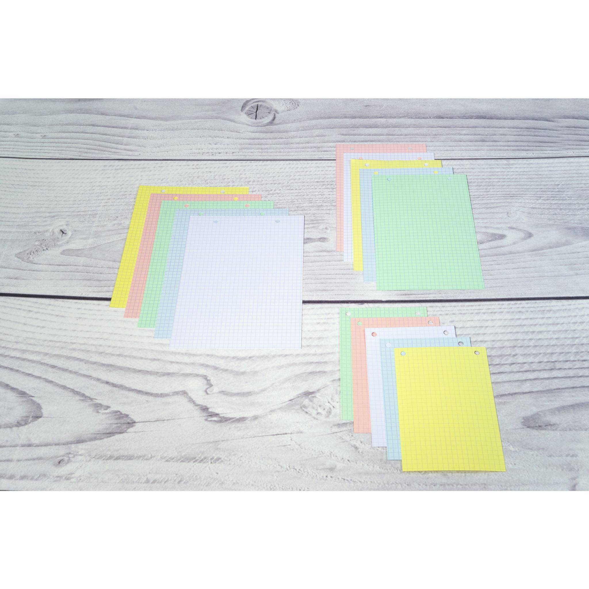 Exacompta 10x 100er Karteikarten - kariert gelocht 148x210mm - sortiert - 10658E