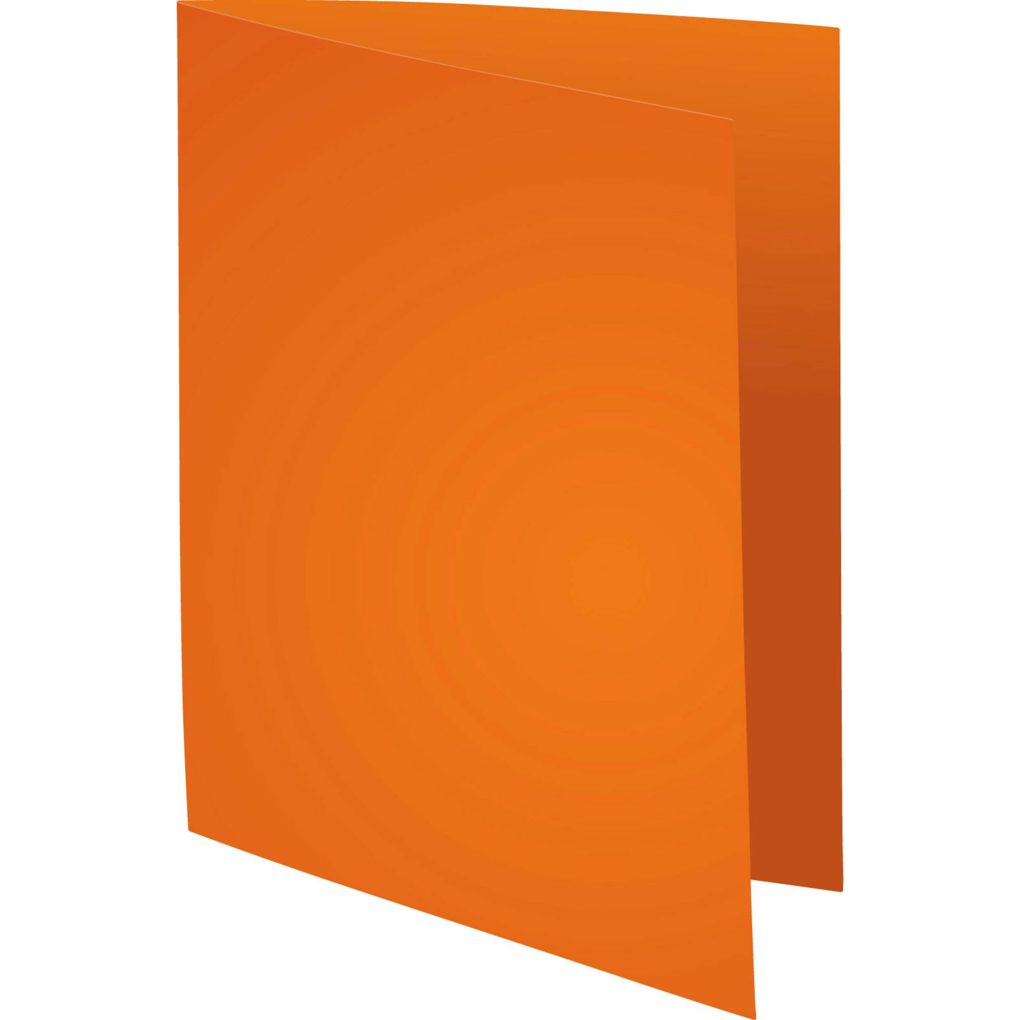 Exacompta 10x 50er Packung Aktendeckel FOREVER® 170 Grün - Orange - 420207E