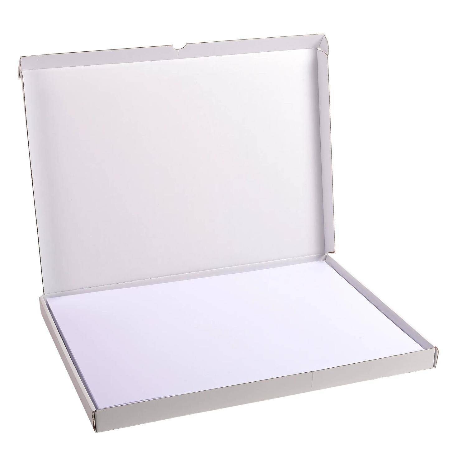 Exacompta Karteikarten 297x420 blanco ws 100St - Weiß - 13304E