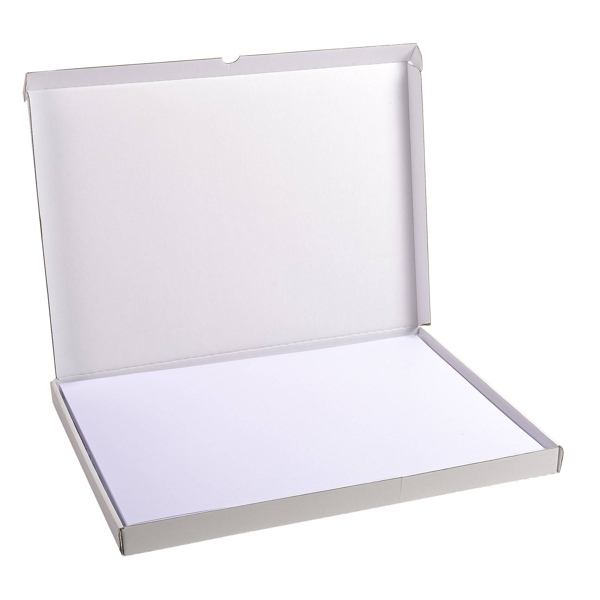 Exacompta Karteikarten 297x420 blanco ws 100St - Weiß - 13304E