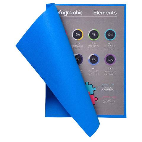 Exacompta 10x 10er Packung Aktendeckel 100% RC 24x32cm - sortiert - 160300E