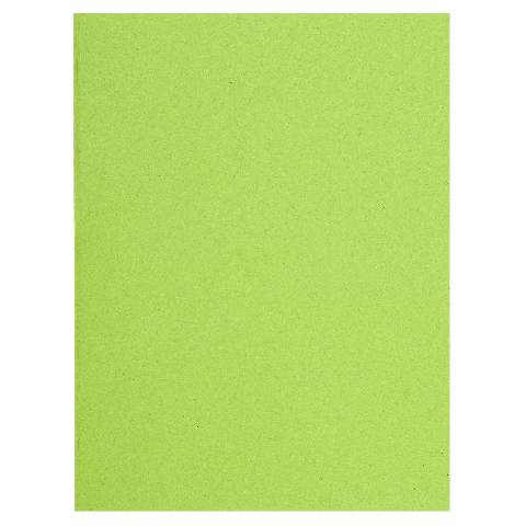 Exacompta 5x 100er Packung Flash 220 Sortiert - Lindgrün - 160013E