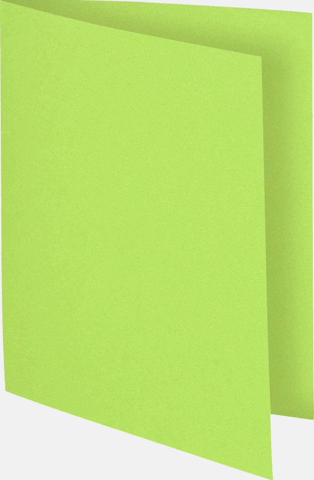 Exacompta 5x 100er Packung Flash 220 Sortiert - Lindgrün - 160013E