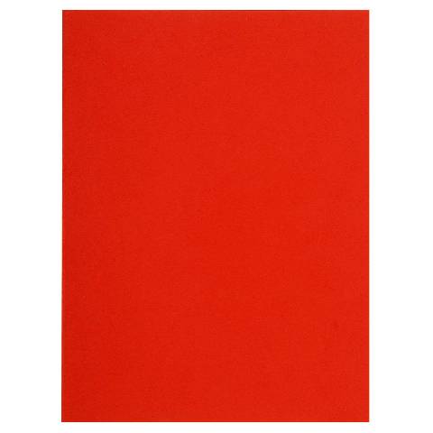 Exacompta 5x 100er Packung Flash 220 Sortiert - Rot - 160012E