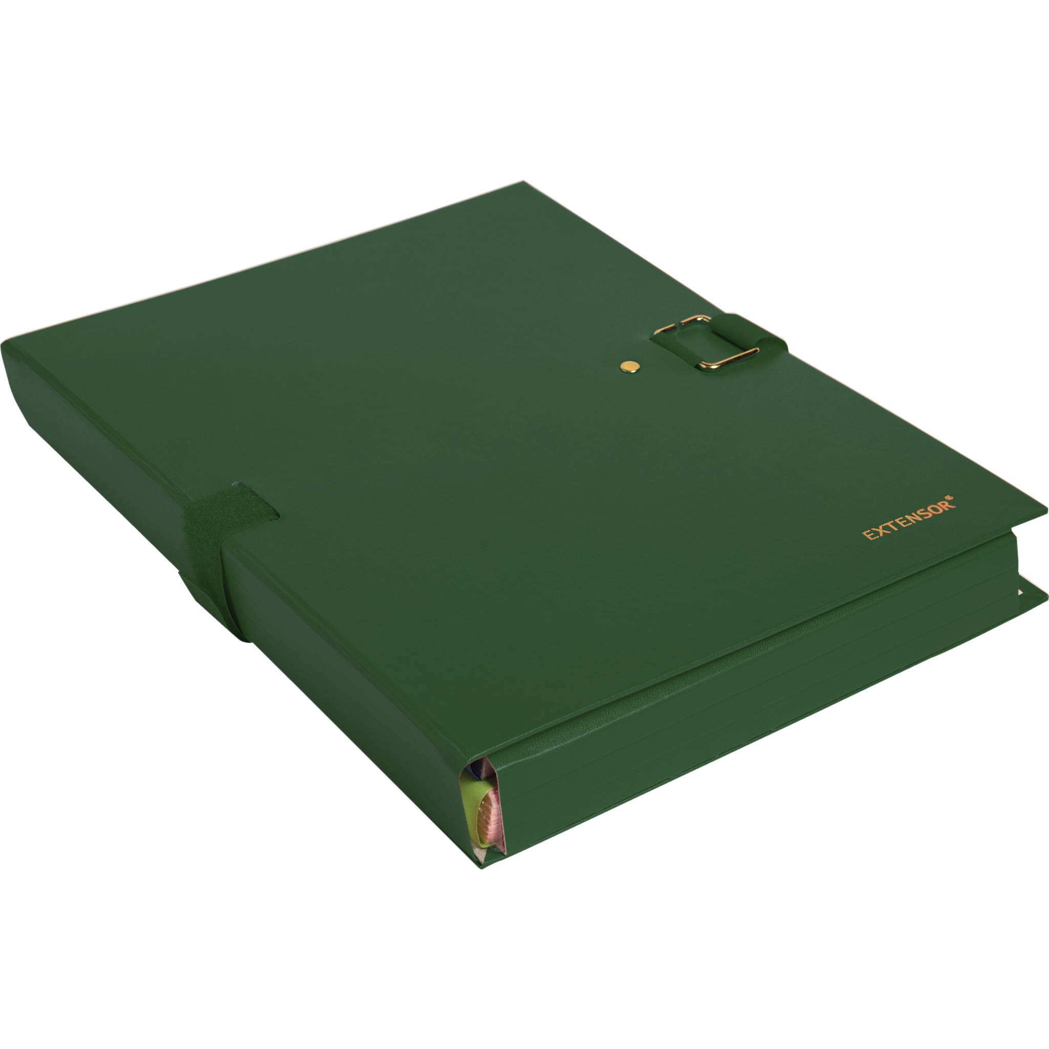 Exacompta 10x Präsentationsmappe Dehnbar Rücken EXTENSOR® - Grün - 22007E