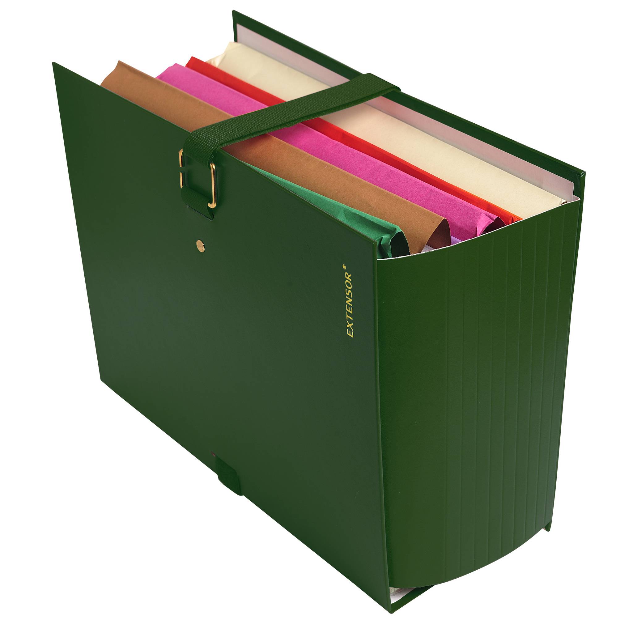 Exacompta 10x Präsentationsmappe Dehnbar Rücken EXTENSOR® - Grün - 22007E