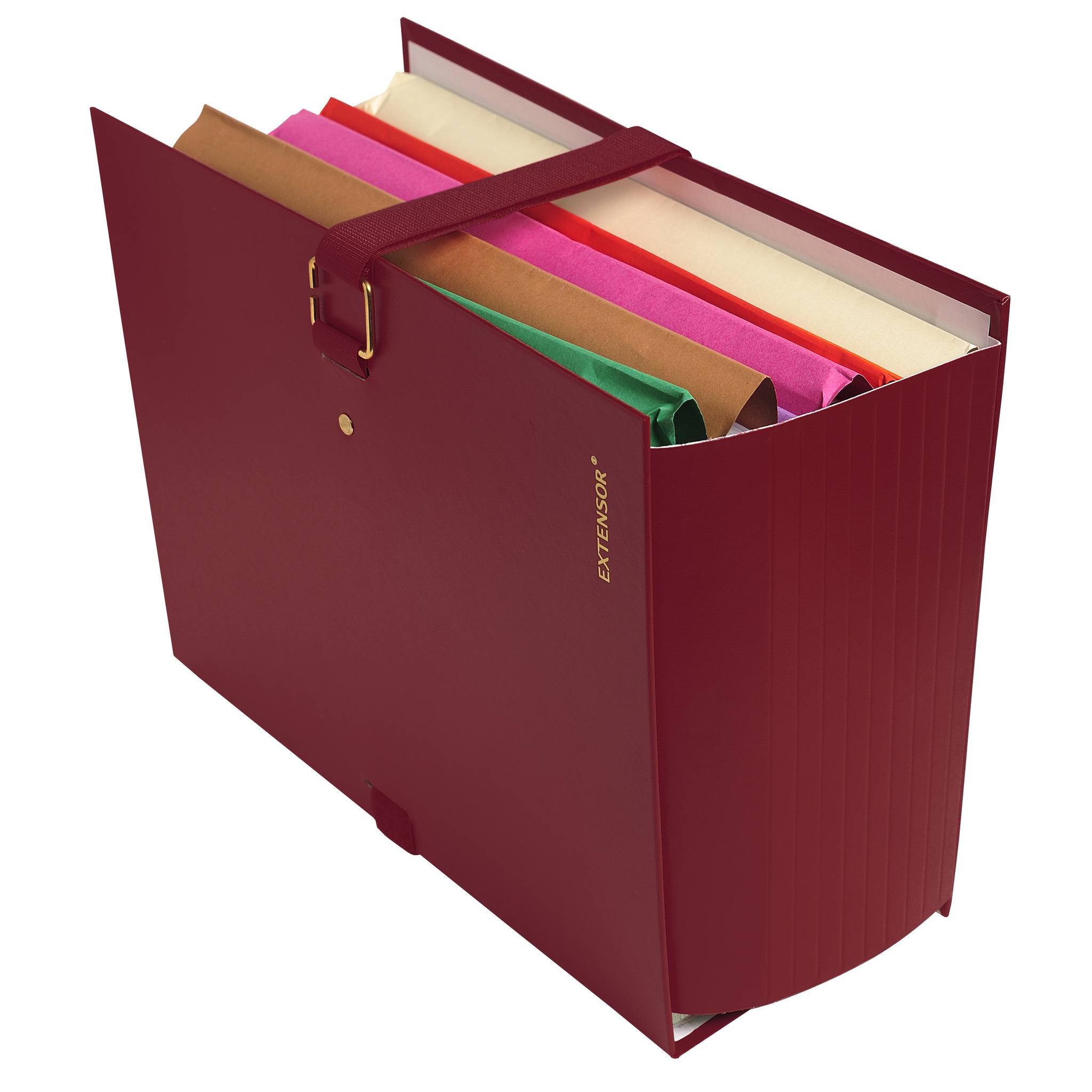 Exacompta 10x Präsentationsmappe Dehnbar Rücken EXTENSOR® - sortiert - 22090E