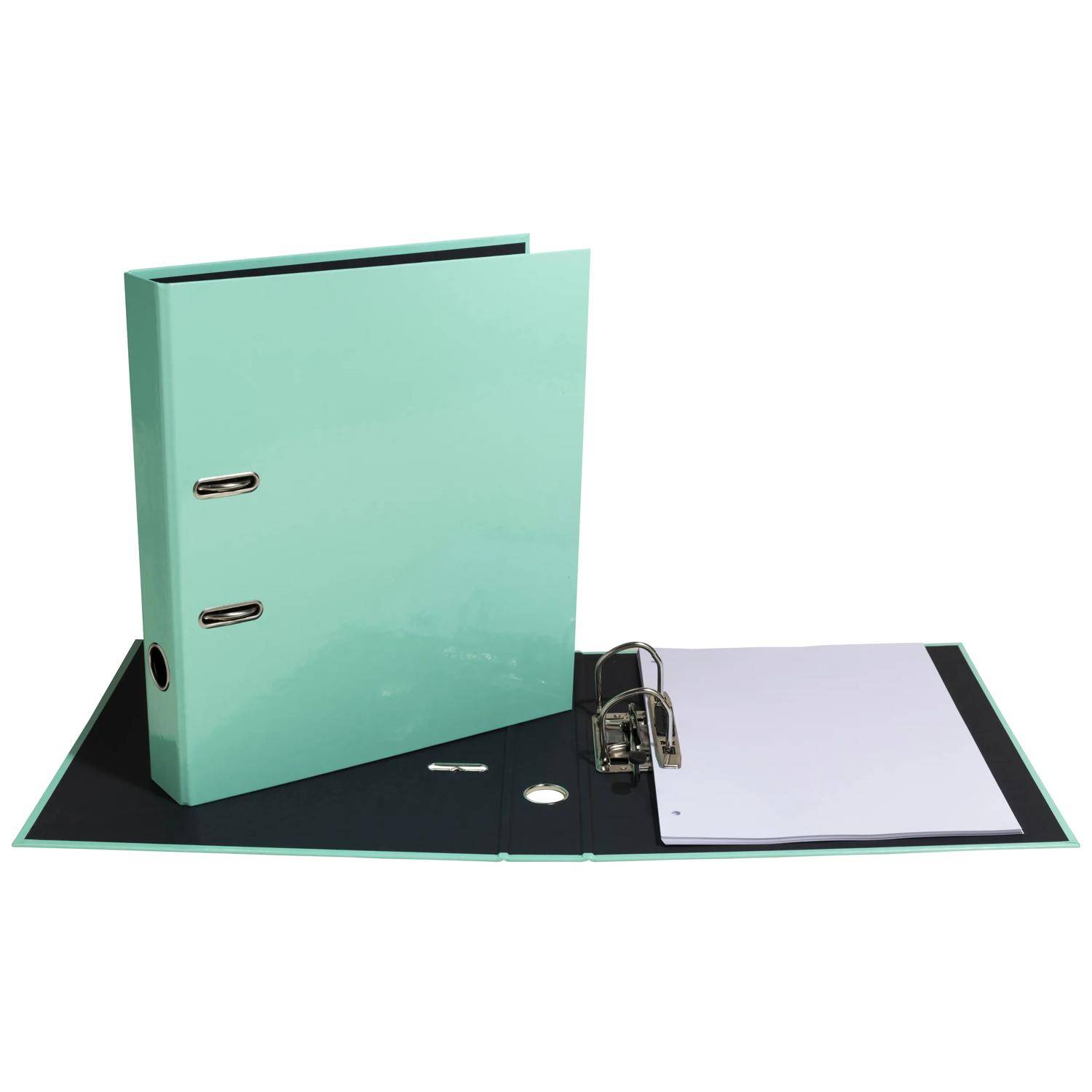 Exacompta 53468E 10x Ordner A4 S50 Aquarel grün