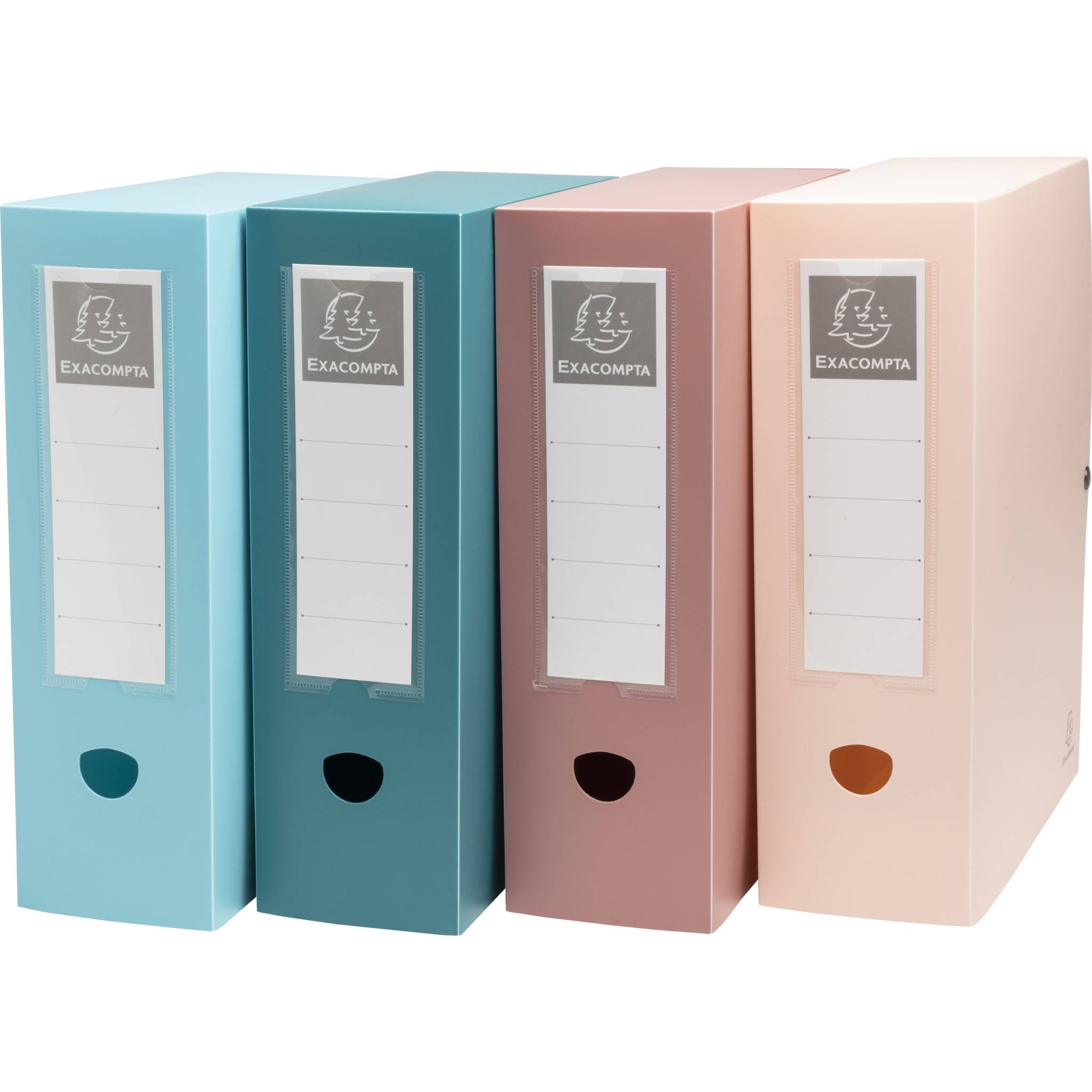 Exacompta 89470E 5x Skandi Archivbox R100mm A4 RC PP sortiert