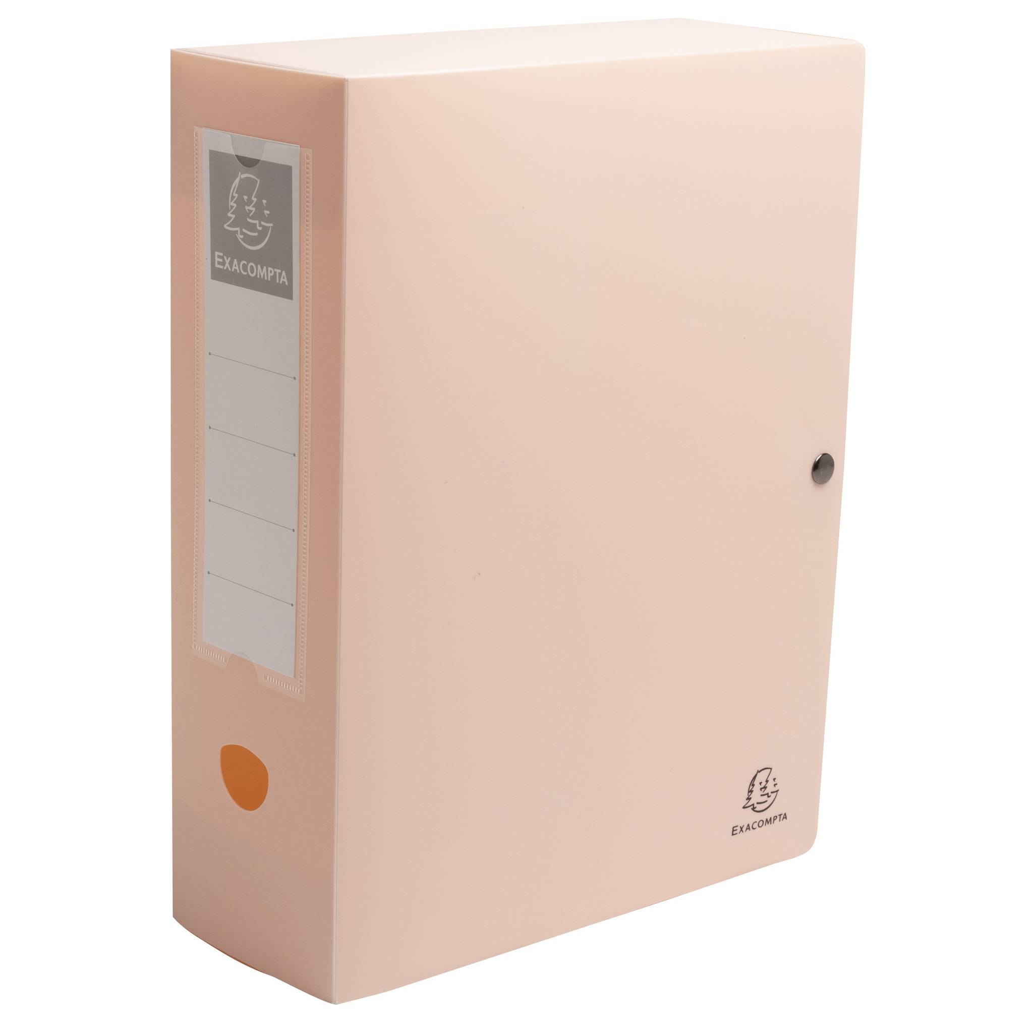 Exacompta 89470E 5x Skandi Archivbox R100mm A4 RC PP sortiert