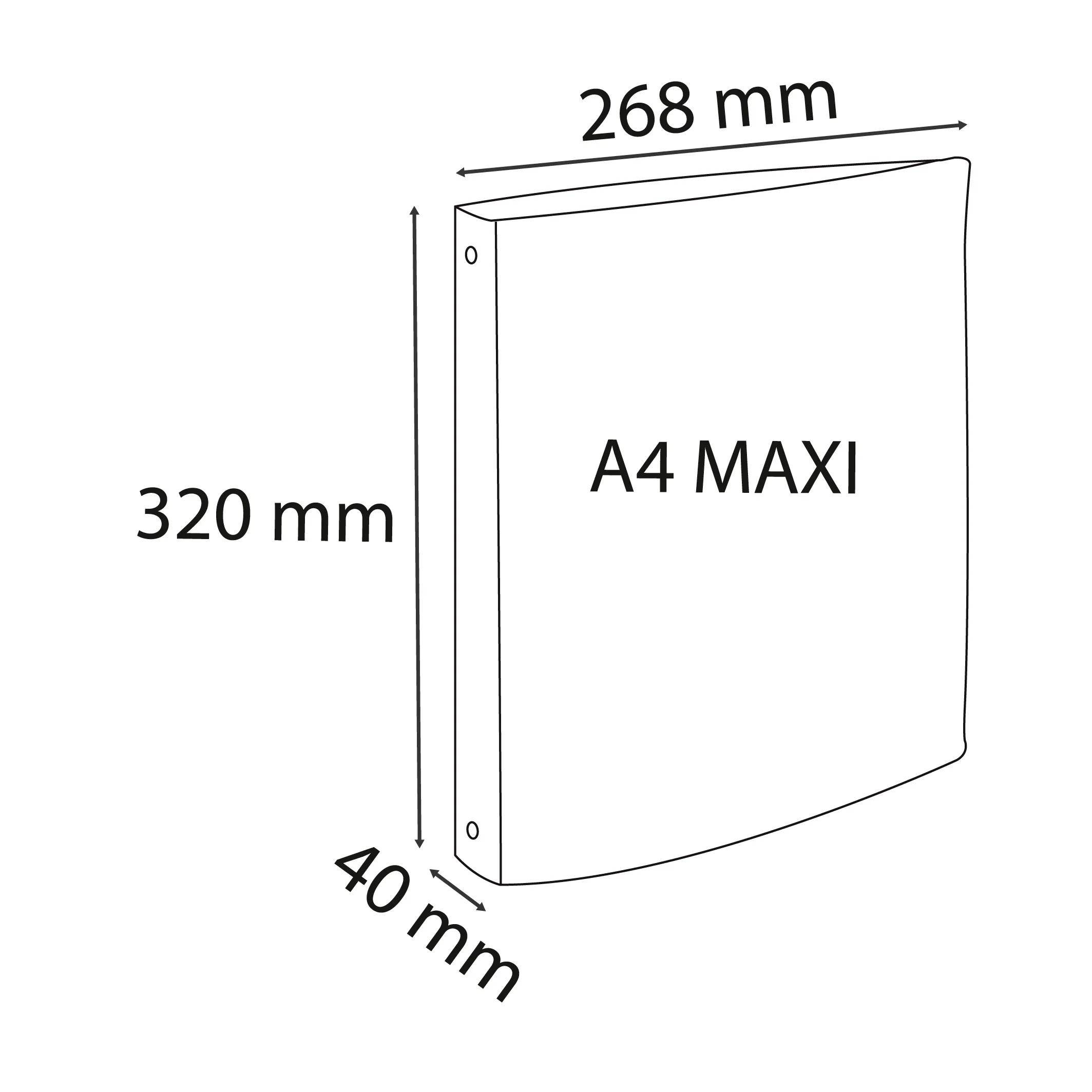 Exacompta 54470E 12x Skandi Ringbuch 2R 30mm PP A4 sortiert